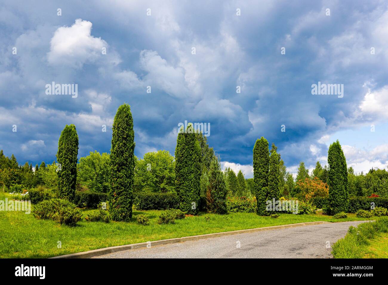 Bellissimo parco con tonuja verde, foto della natura Foto Stock
