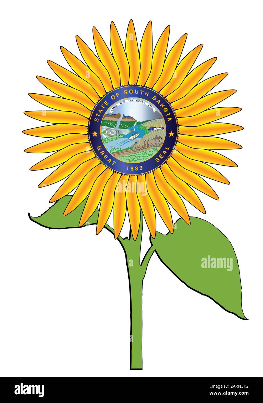 La testa di una grande pianta di girasole isolato su uno sfondo bianco con il sigillo dello stato degli Stati Uniti del South Dakota uno stato di crescita di girasole maggiore Illustrazione Vettoriale