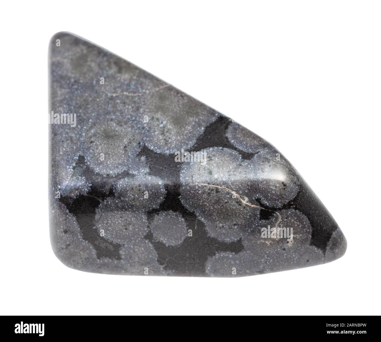 Primo piano del campione di minerale naturale proveniente dalla collezione geologica - roccia variolitica lucidata isolata su sfondo bianco Foto Stock