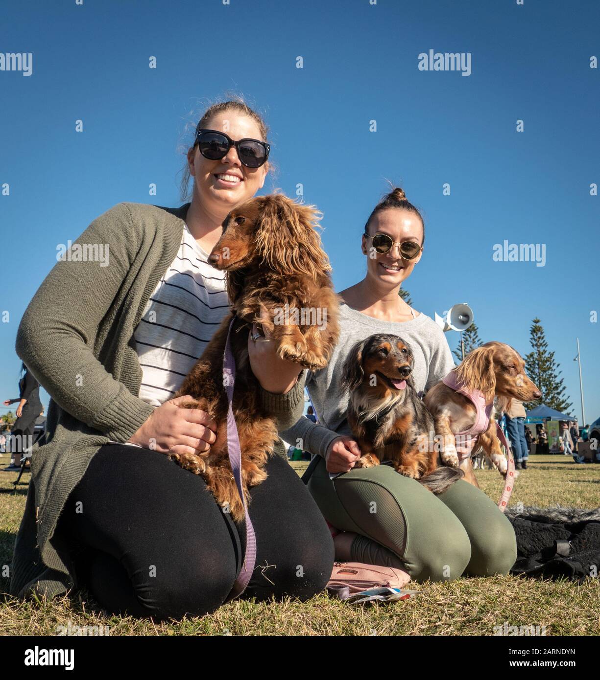 Illawarra, Australia - Maggio 20th, 2018: Gli amanti del cane e i loro cani camminano sul prepuzio nel Milione annuale Paws Camminare per raccogliere soldi per il RSPCA. Foto Stock