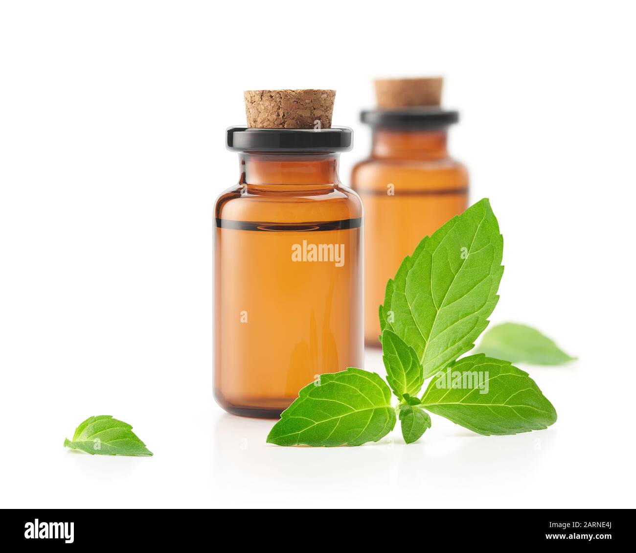 Olio essenziale di menta piperita isolato su sfondo bianco Foto Stock