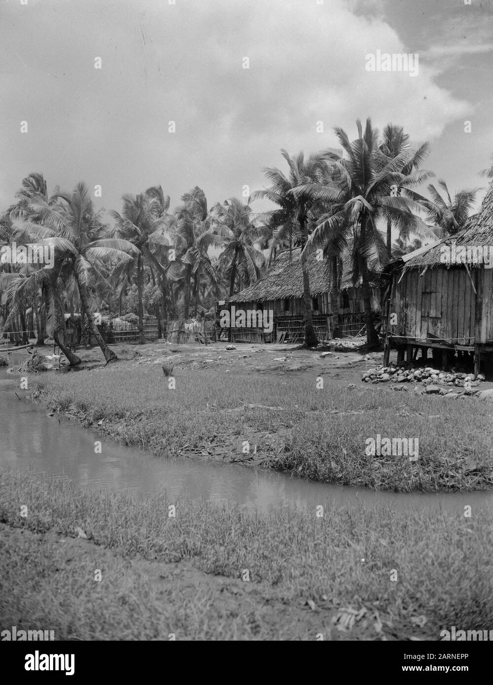 Foto Della Natura Villaggio Di Pescatori A Soembawa Data: Febbraio 1948 Luogo: Indonesia, Indie Orientali Olandesi, Sumbawa Foto Stock