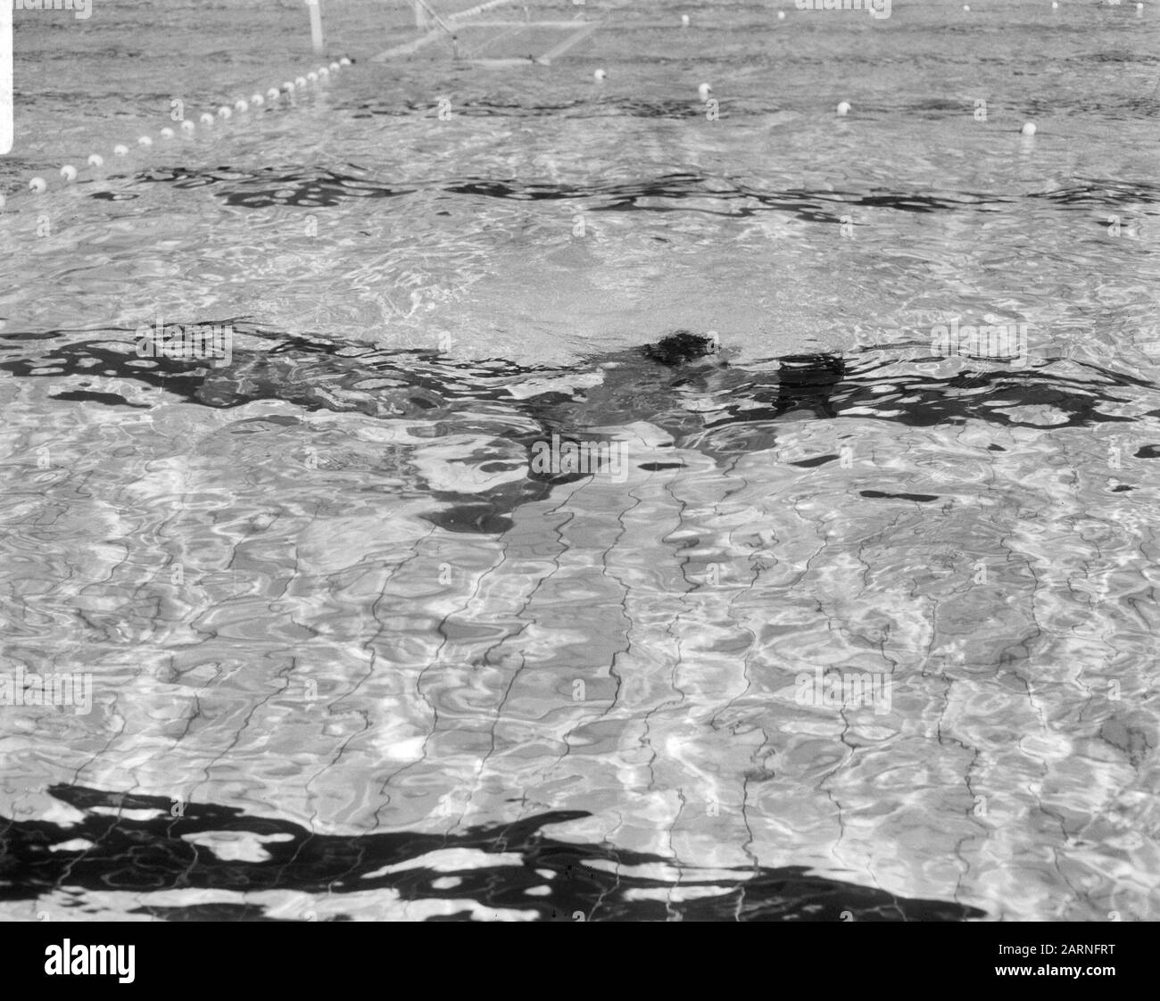 Ronnie Kroon con macchina fotografica subacquea, Crown sott'acqua Data: 18 agosto 1966 Parole Chiave: Macchine fotografiche, fotografi, piscine Nome personale: Crown, Ronnie Foto Stock