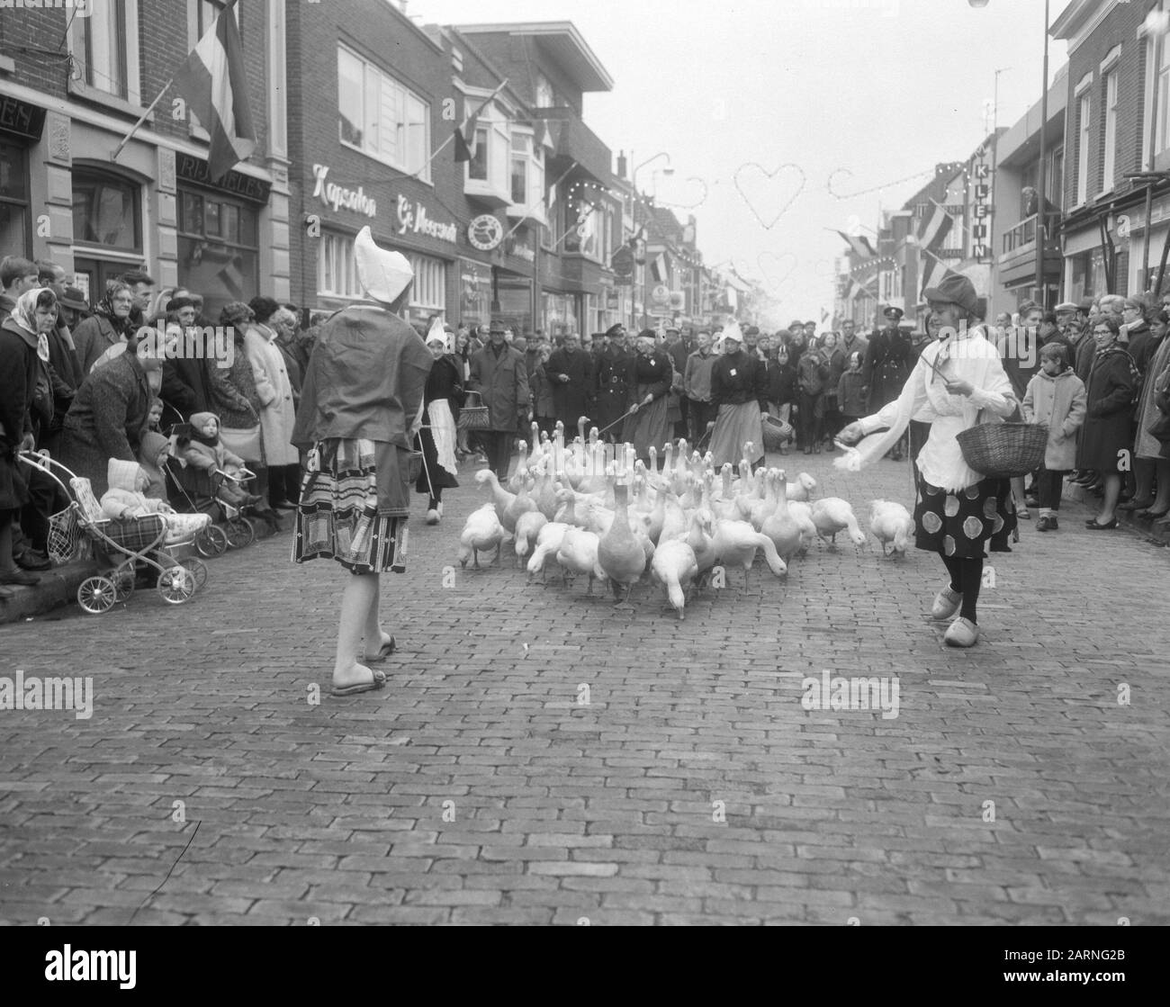 Mercato annuale Goose a Coevorden Tradizionalmente vestiti goose custodi guidare un pacchetto di oche al mercato sotto interesse pubblico Data: 14 novembre 1966 Località: Coevorden, Drenthe Parole Chiave: Animali, oche, mercati Foto Stock