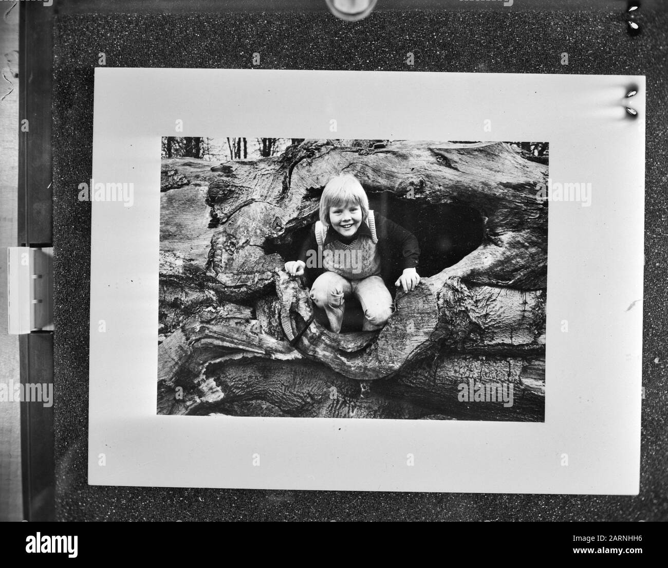 Foto Di Compleanno Principe William Alexander Creato Da Principe Claus Data: 21 Aprile 1976 Parole Chiave: Principi Della Corona Nome Personale: Claus, Principe, Willem-Alexander, Principe Di Orange Foto Stock