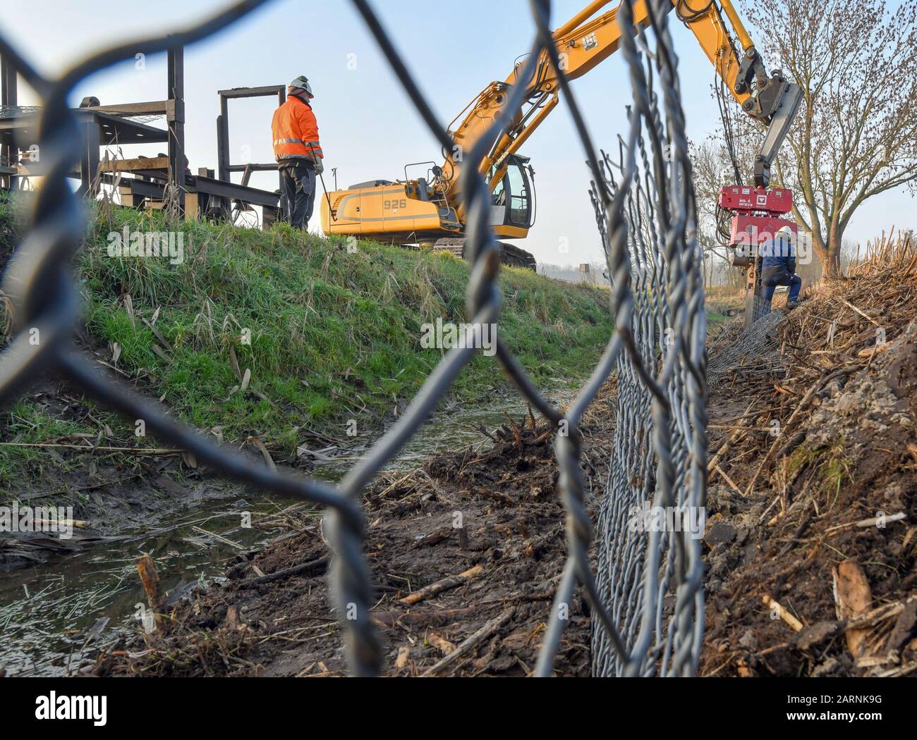 27 gennaio 2020, Brandenburg, Groß Neuendorf: I dipendenti di Ingenieur Wasser und Tiefbau GmbH (IWT) Frankfurt (Oder) stanno installando una griglia speciale per la difesa del castoro su un lato di un fossato nell'Oderbruch. Il brevetto della società di Francoforte rallenta i castori dell'Oderbruch. A fossati e dighe, tappeti protettivi sepolti verticalmente impediscono agli animali notturni di scavare nel terreno. Tuttavia, il castoro si sente a casa nel paesaggio culturale. Foto: Patrick Pleul/dpa-Zentralbild/ZB Foto Stock