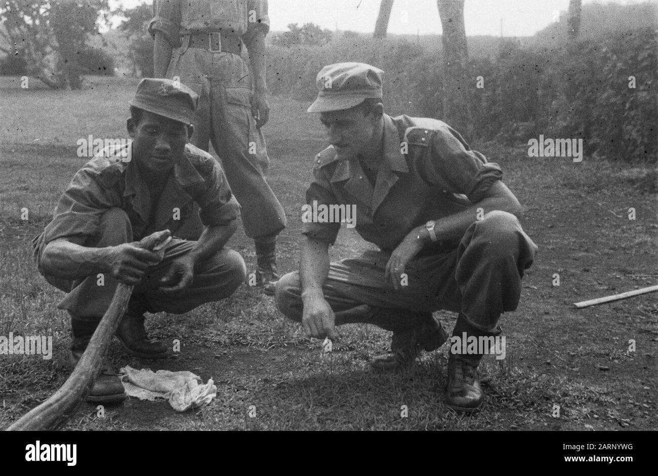 [Un soldato KNIL tiene la testa di un serpente, mentre un tenente orologi] Annotazione: DJK Caption in Weapons 3rd yrg, nr. 45 febbraio 1949 ad altre foto Per otto Soemiga e venduto. Simon sembra catturare pericolosi serpenti un baccello. Si lasciano fotografare con questi campioni] Data: Gennaio 1949 luogo: Indonesia, Indie orientali olandesi Foto Stock