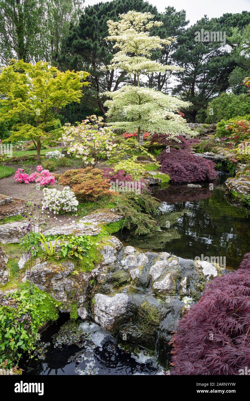 Il giardino giapponese a Samarès Manor, Jersey Foto Stock
