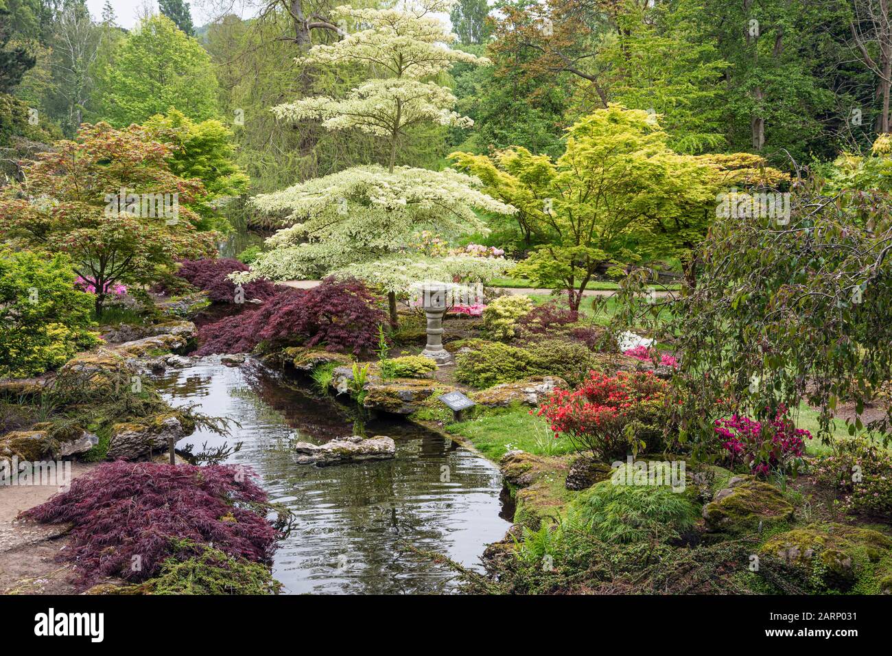 Il giardino giapponese a Samarès Manor, Jersey Foto Stock