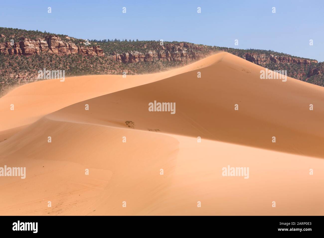 Dune di sabbia in un paesaggio desertico, Coral Pink Sand Dunes state Park, Utah Foto Stock