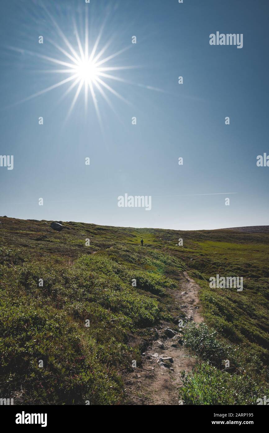 Paesaggio artico della baia di Disko in Greeland in estate. Sunstar su un cielo blu e prati verdi. Arctic Circle Trail con le montagne del tempio. Isola Di Disko Foto Stock