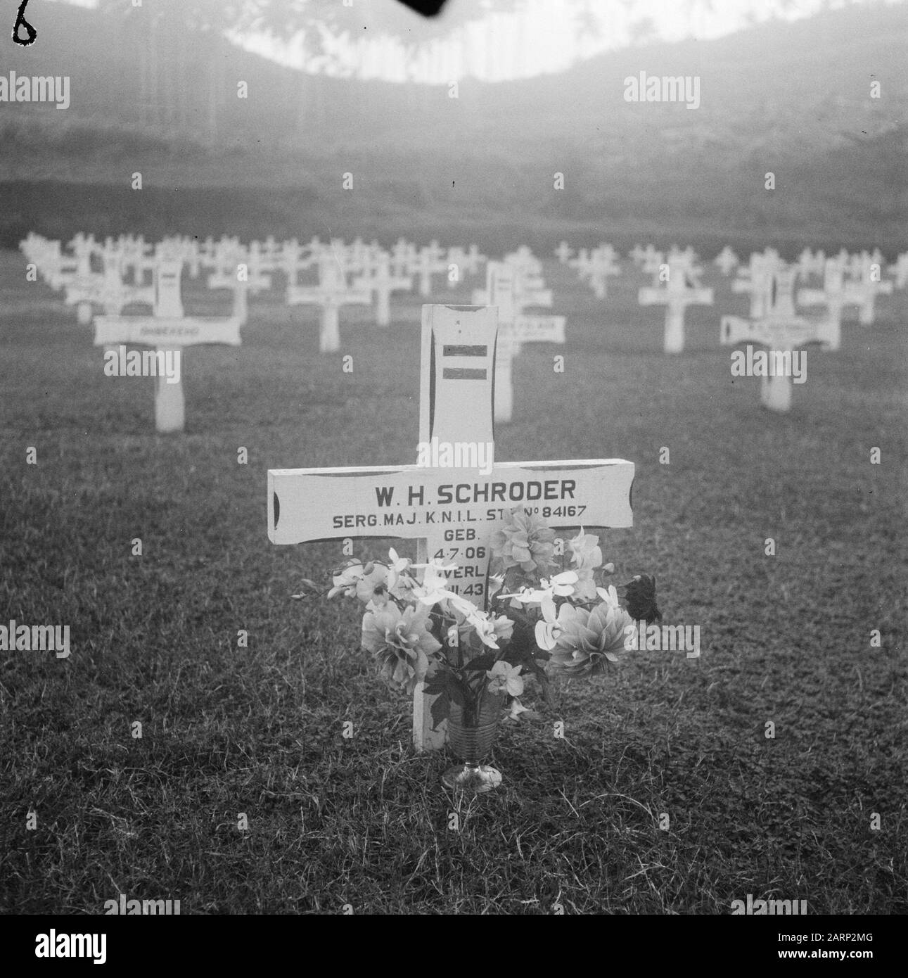 Cimitero Onorario Ambon. Croce sulla tomba di W.H. Schröder, serg.maj. KNIL, stbno. 84167 Annotazione: Wilhelm Herman Schröder. Sergente Maggiore macchina del fucile. Nato il 4 luglio 1906 a Karangdjati Morì il 14 novembre 1943 a Kario/Haroeko. La tomba fu poi donata un altro memoriale. Data: 1947/01/01 Luogo: Ambon, Indonesia, Indie Orientali Olandesi Foto Stock