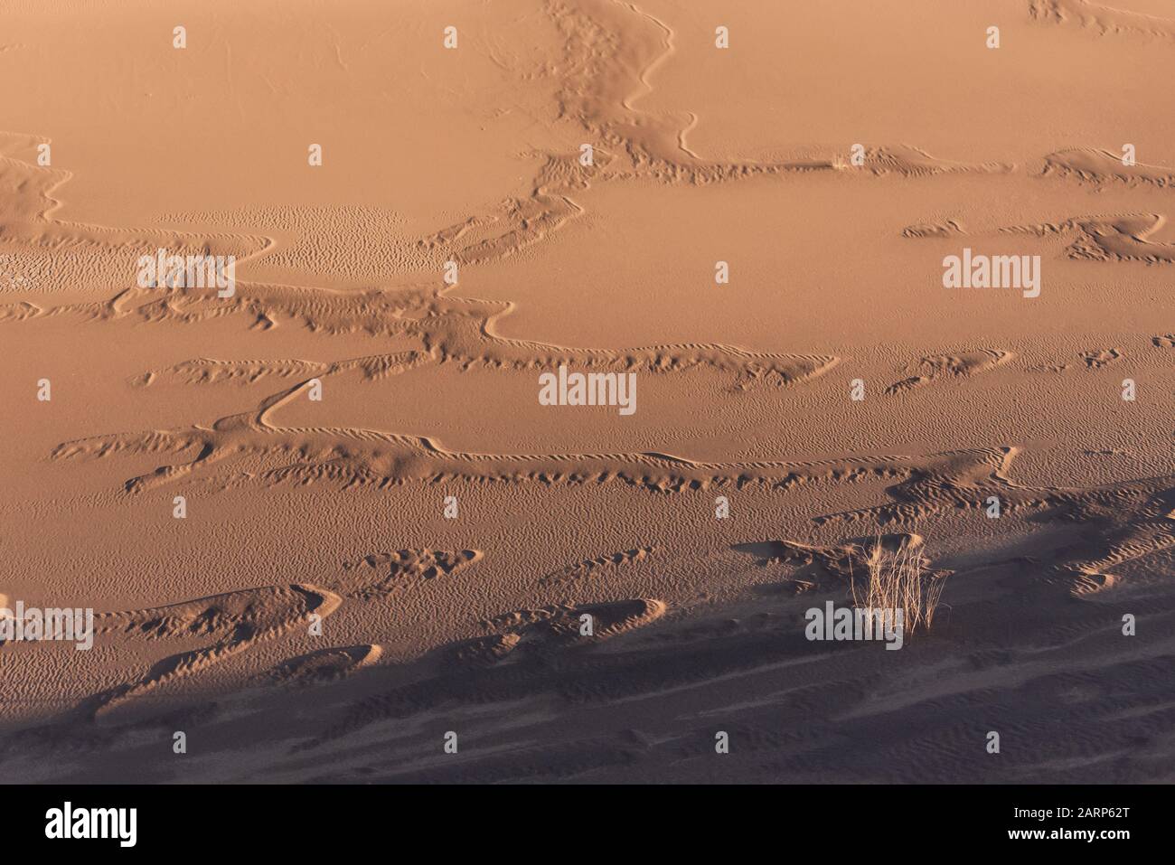 la formazione di dune di sabbia bagnata nel deserto di dasht e lut o sahara, dopo le piogge con cielo nuvoloso Foto Stock