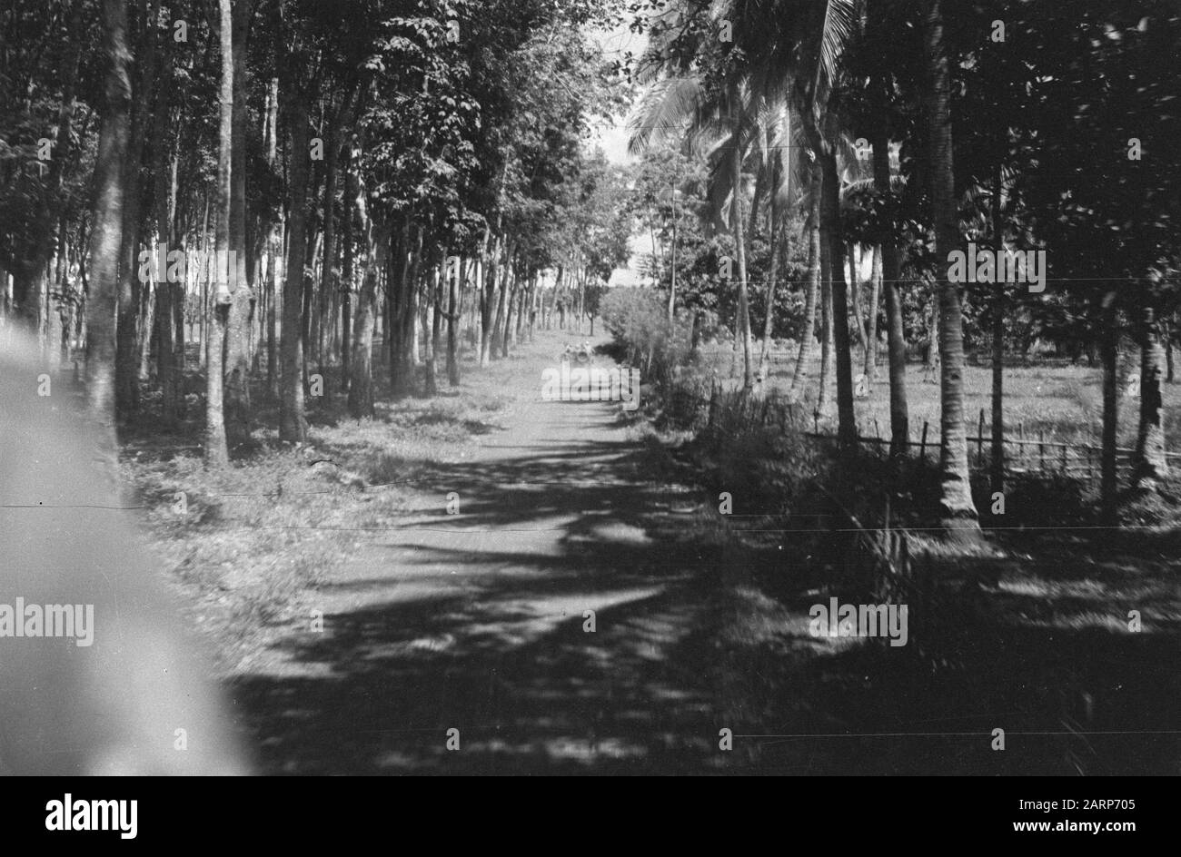 [jeep guida una strada. Alberi di sinistra. A destra un campo contrassegnato con una pagger] Data: 1947/01/01 luogo: Indonesia, Indie Orientali Olandesi Foto Stock