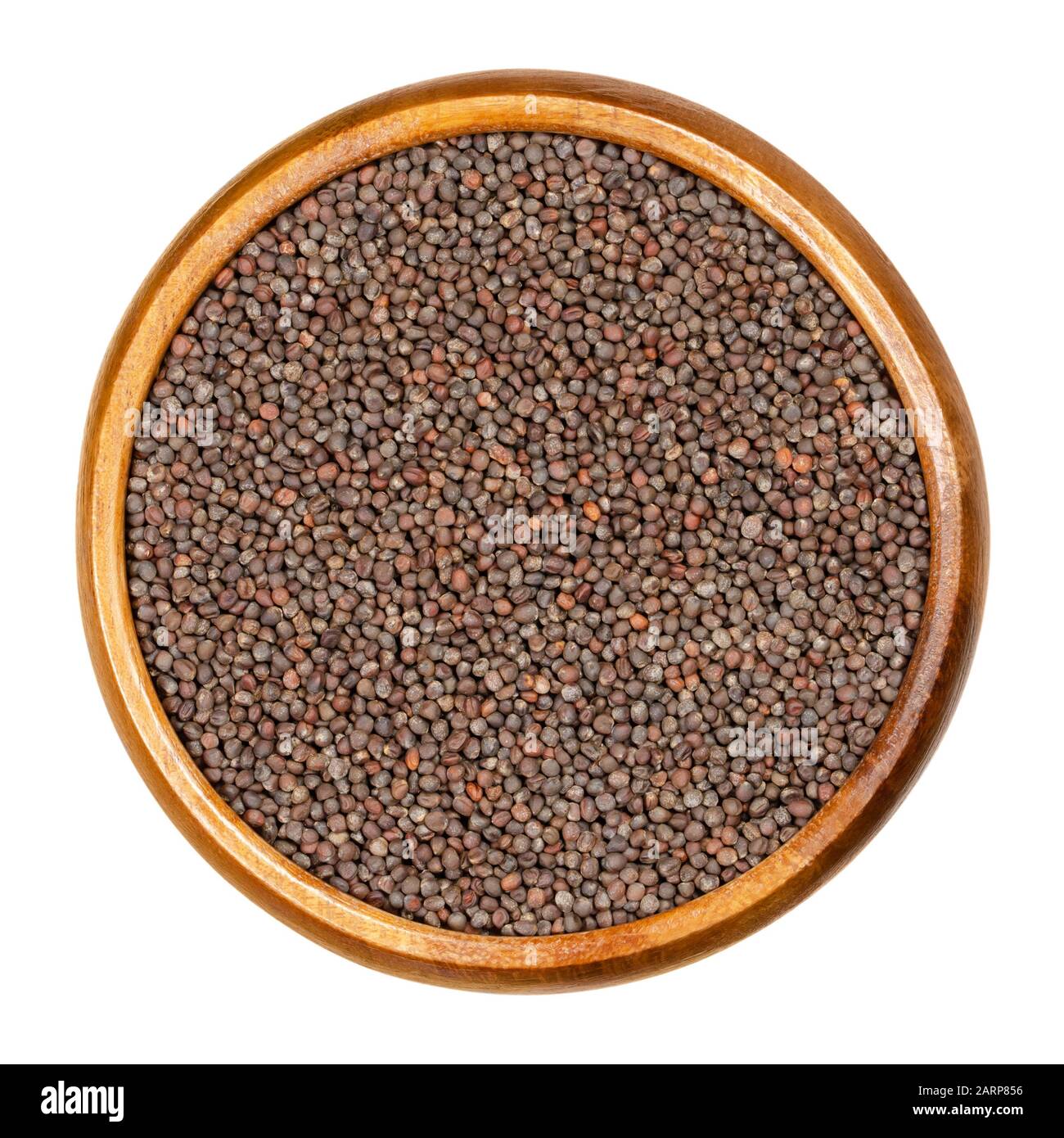Semi di cavolo rosso in ciotola di legno. Brassica oleracea, anche cavolo viola, kraut rosso o kraut blu, un vegetale. Semi per germogliare. Foto Stock