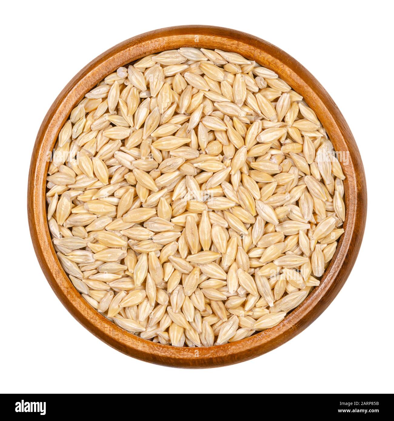 Grani di orzo, semi con buccia esterna in ciotola di legno. Hordeum vulgare, un cereale importante. Utilizzato come foraggio per animali, una birra e un componente alimentare per la salute. Foto Stock