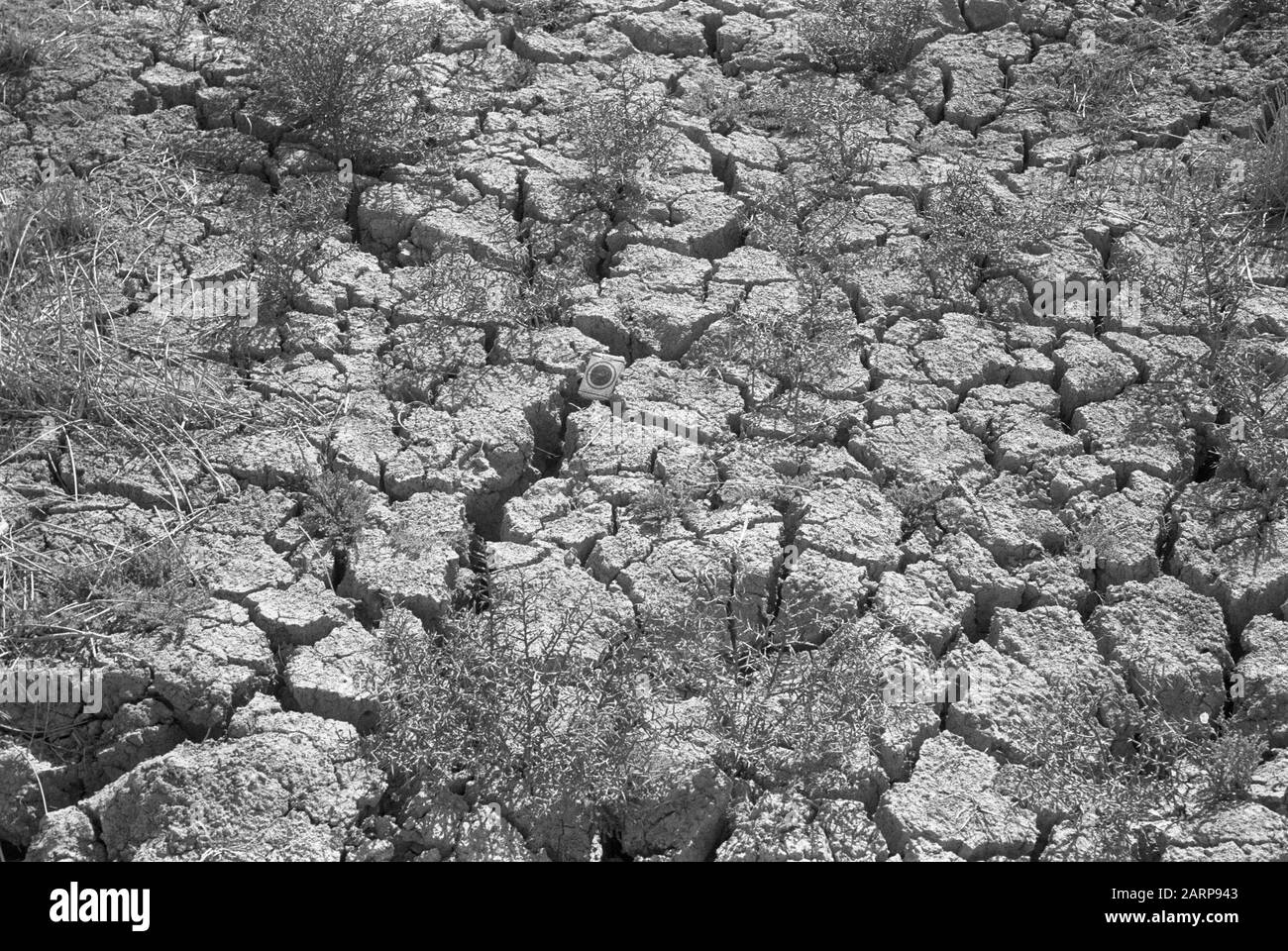 Terra asciutta Data: Parole Chiave dense: Terra asciutta Foto Stock