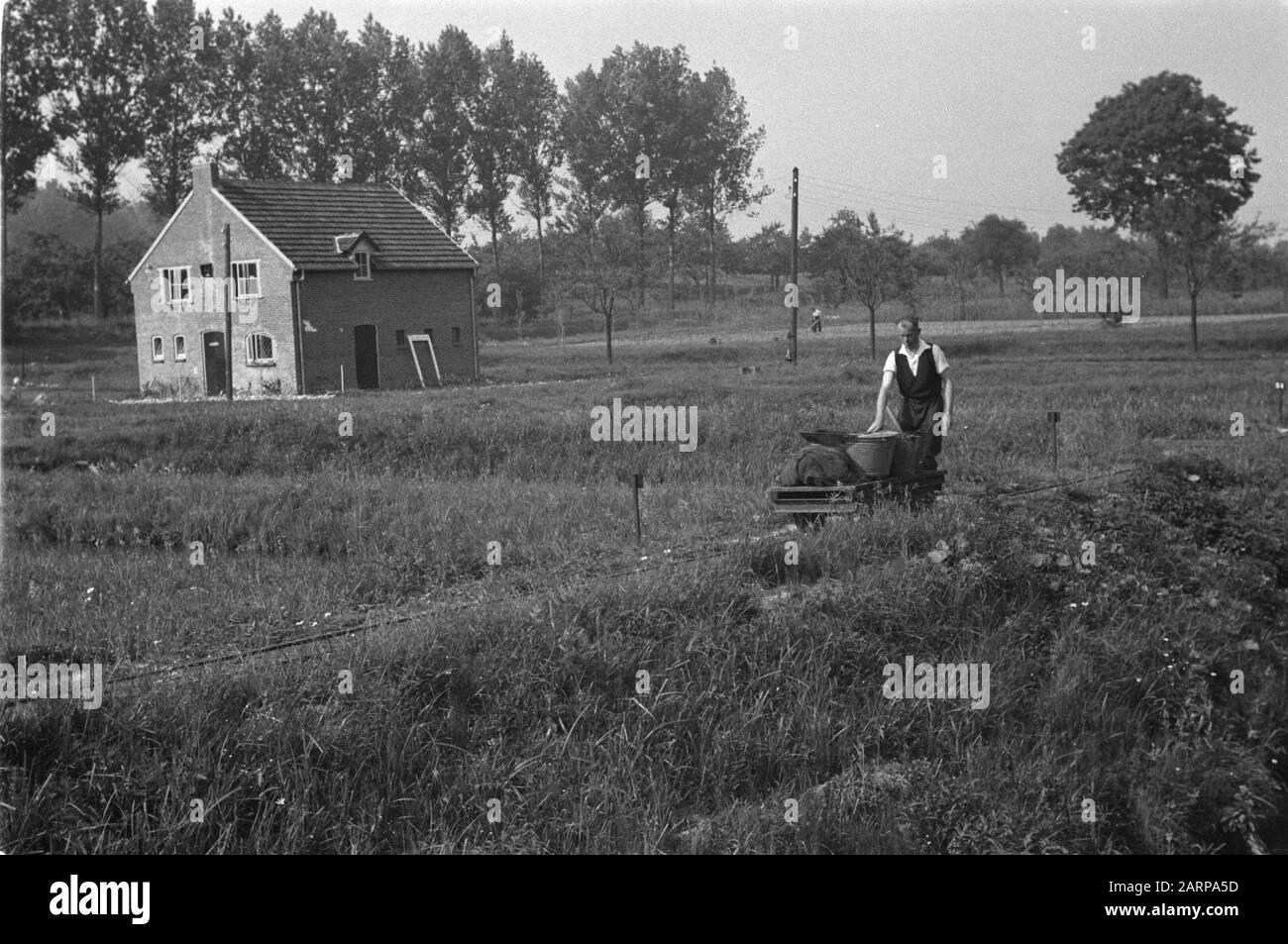 Pesca, allevamenti di pesci, stagni di trote, edifici agricoli, trasporti Data: 1949 luogo: Gulpen Parole Chiave: Edifici agricoli, stagni di trote, trasporti, allevamenti di pesci, pesca Foto Stock Pesca, allevamenti di pesci, stagni di trote, edifici agricoli, trasporti Data: 1949 luogo: Gulpen Parole Chiave: Edifici agricoli, stagni di trote, trasporti, allevamenti di pesci, pesca Foto Stock