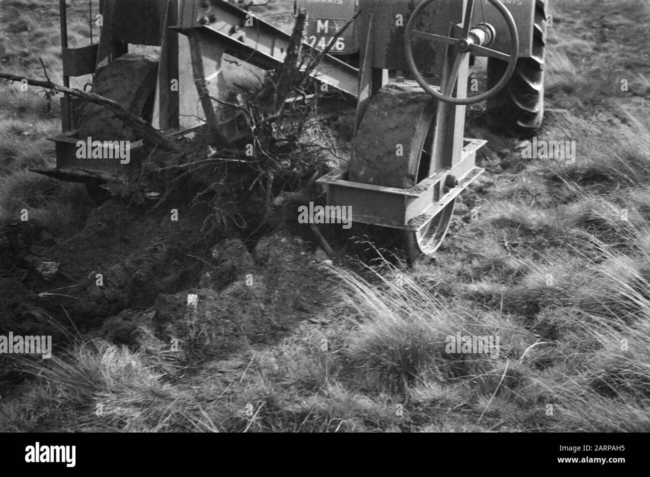 [Veluw Hul di Garderen?] Sradicamento degli stub Annotazione: Vecchia parola chiave: Boerskotte. Ma Boerskotten si trova a Oldenzaal Data: Unundated posizione: Fonti Parole Chiave: Lavoratori, macchine, terra, strumenti, deserto Foto Stock