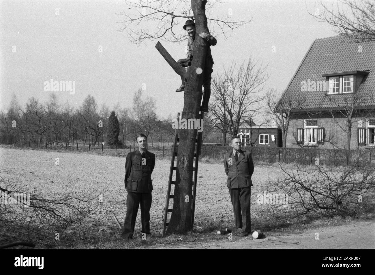 Potatura, lavoratori, seghe, puntinature, rovere autoctono Data: Unundated luogo: Gelderland, Wilp Parole Chiave: Lavoratori, potatura, maschiatura parotite, seghe Nome personale: Rovere indigeno Foto Stock