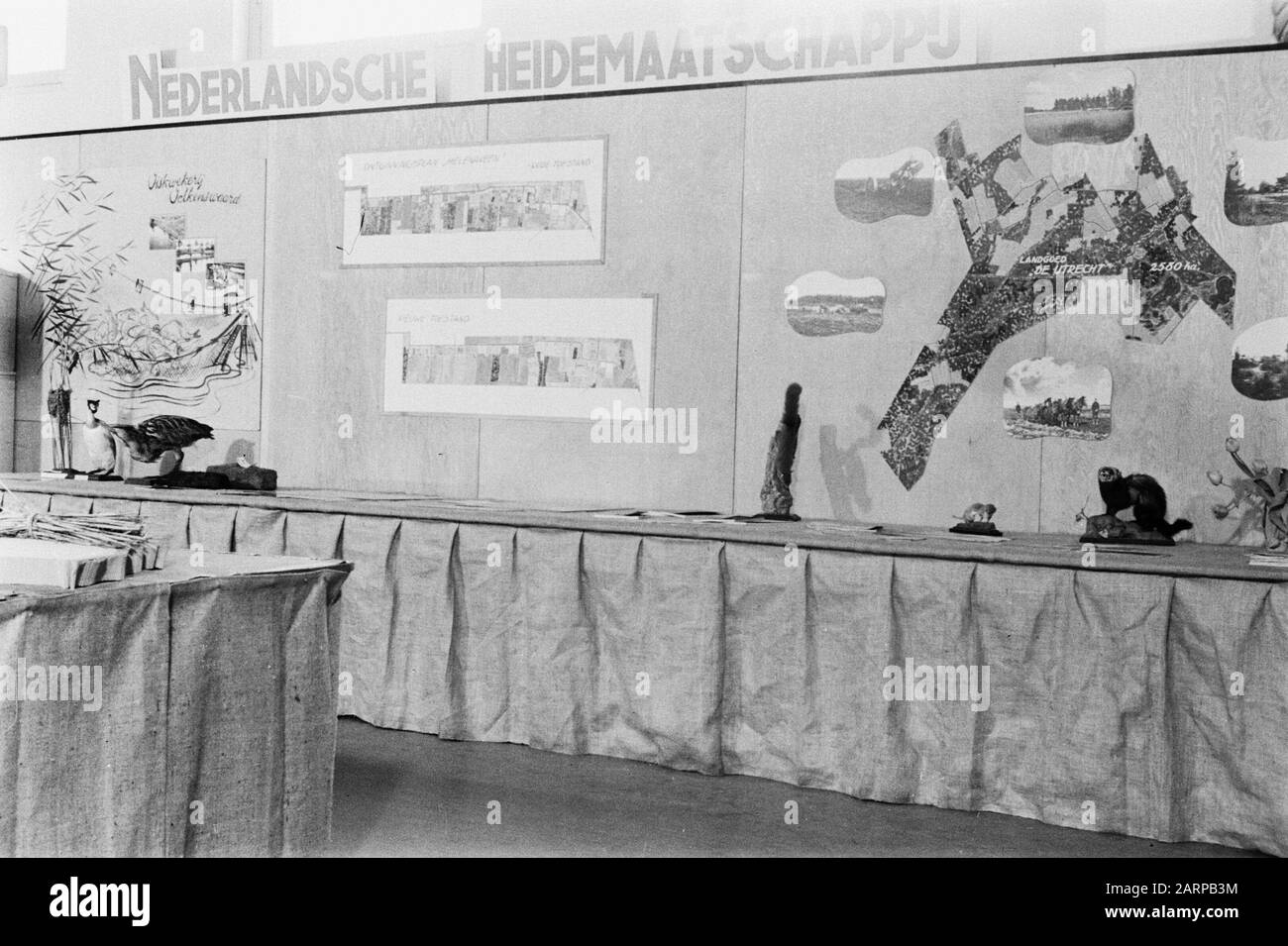 Fiere Data: Parole Chiave non date: Mostre Nome istituto: NHM Foto Stock