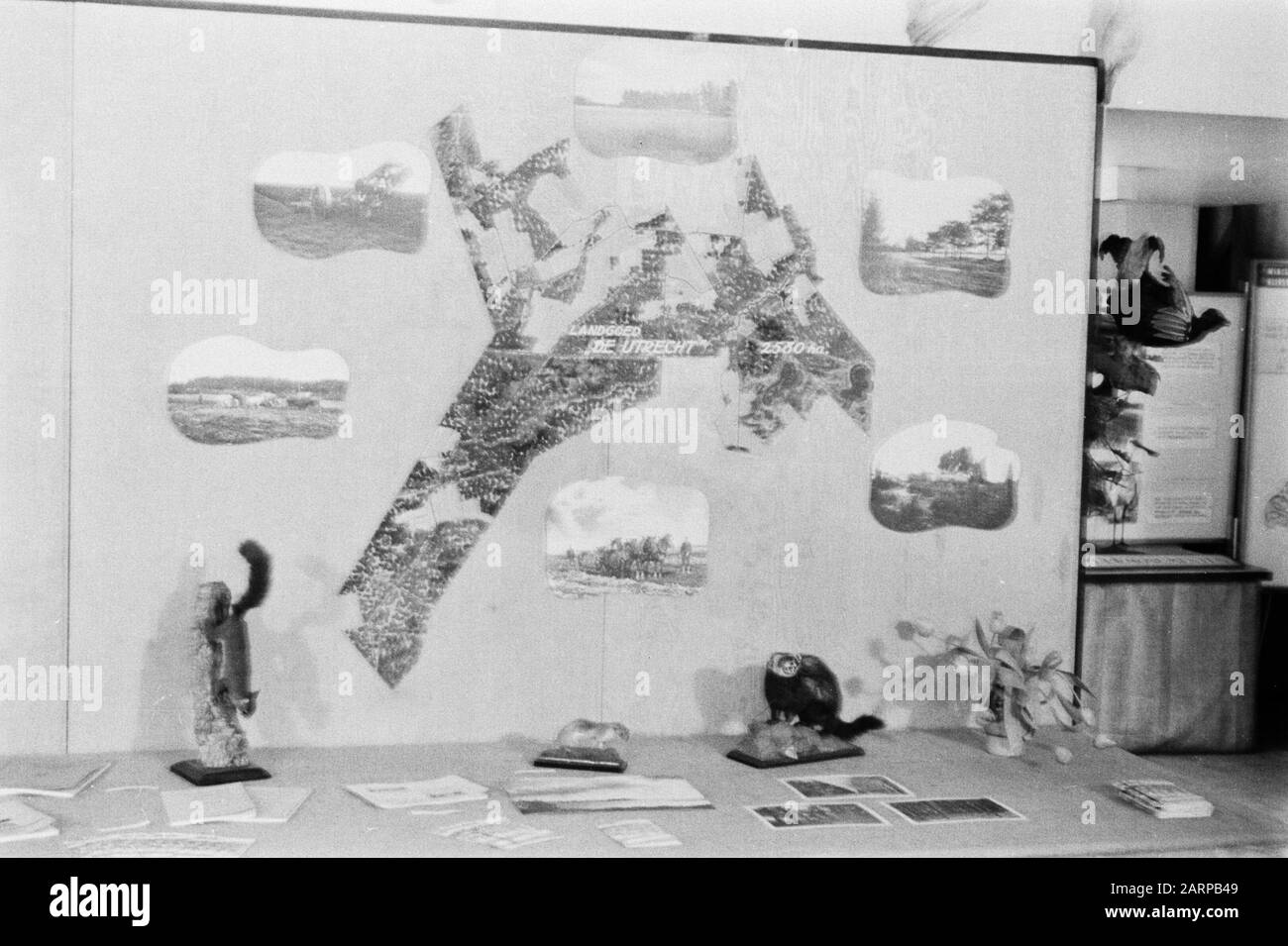 Fiere Data: Parole Chiave non date: Mostre Nome istituto: NHM Foto Stock