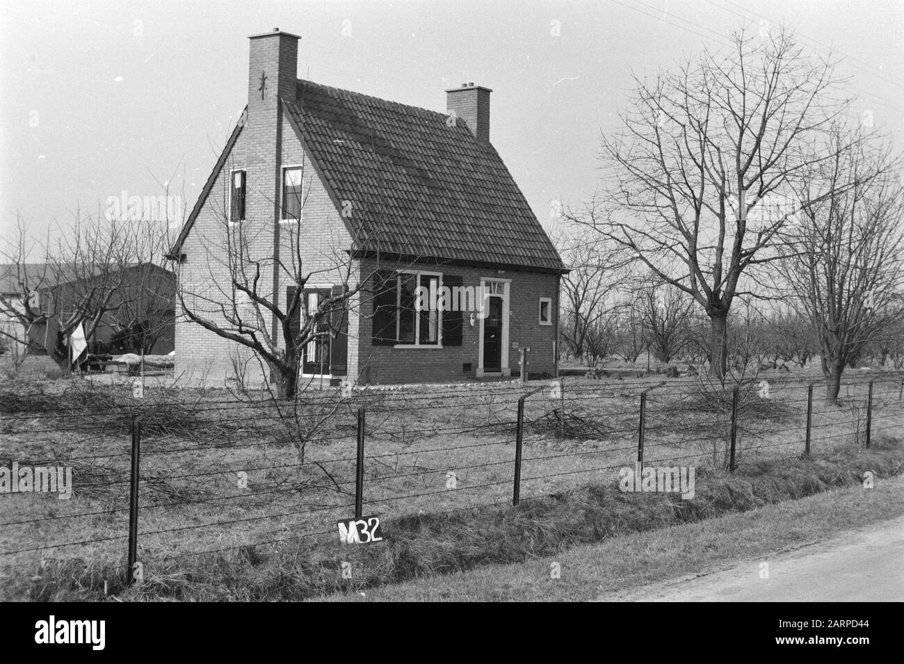 Punti fissi Servizio culturale Huis te Maurik (suddivisione Maurikse Wetering) Annotazione: M-32 freccia indica un punto fisso Data: Marzo 1954 Località: Betuwe, Maurik Parole Chiave : consolidamento del terreno, adeguamento dell'acqua di campo Foto Stock