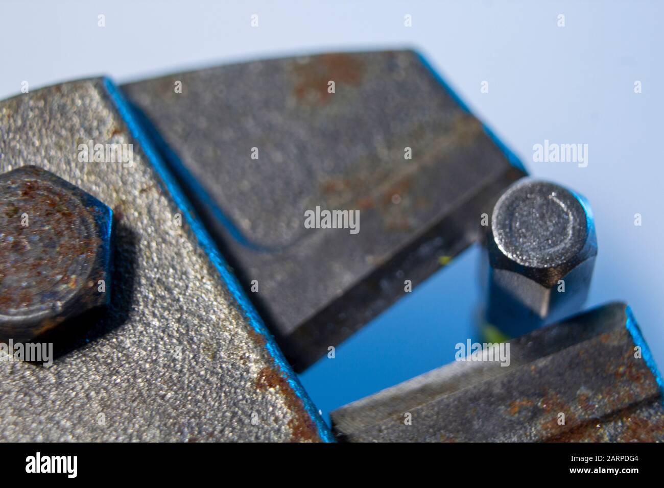 Macro immagine di una pinza Foto Stock
