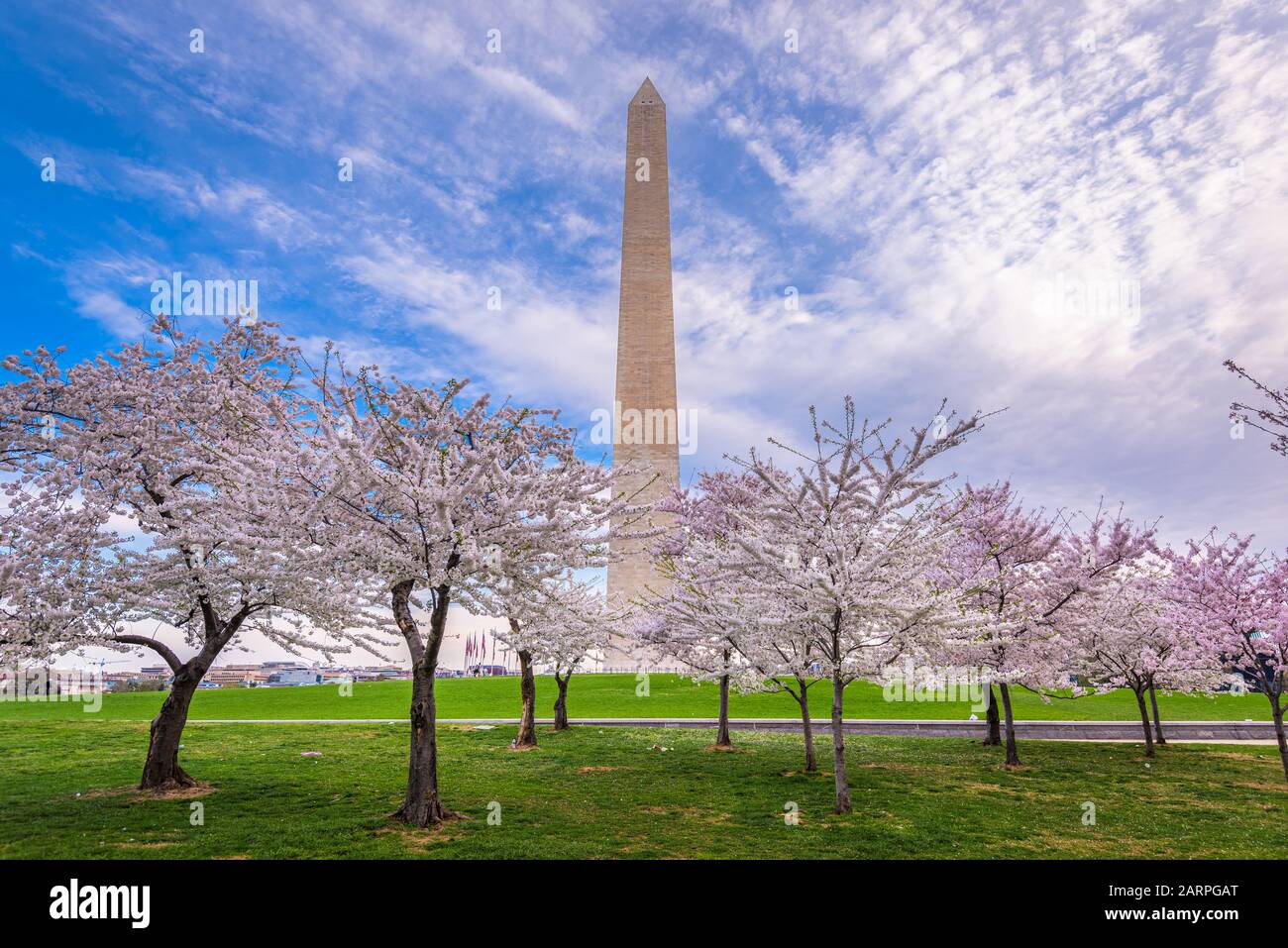 Washington DC, USA nella stagione primaverile sul National Mall. Foto Stock