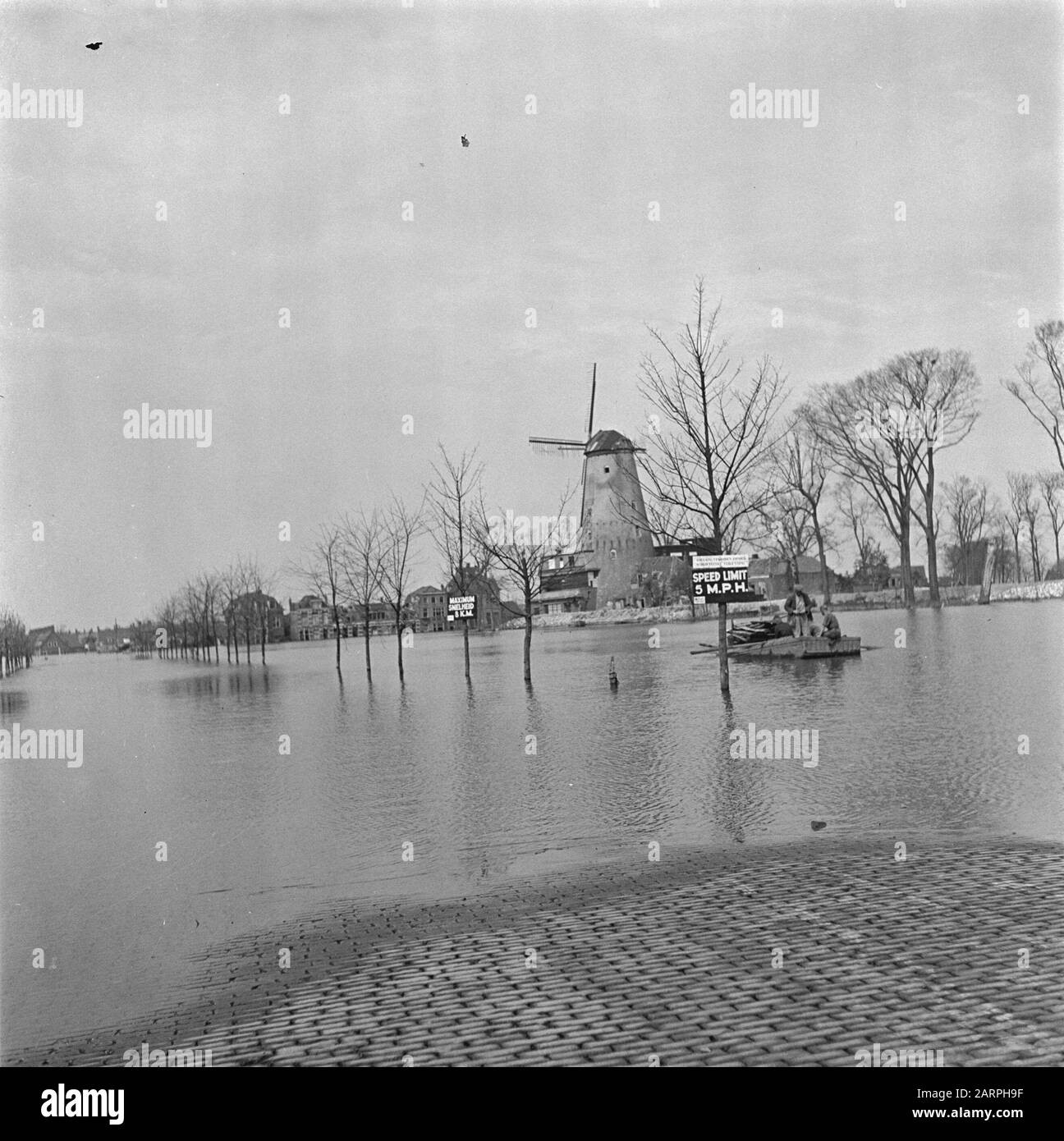 Devastazioni: Area di Middelburg Inunde (Vlissingse singel?). Su due alberi, tavole con velocità massime sono inchiodate. Right Molen de Hoop aan de Vlissings Bolwerk (senza contatto) Data: 1945 luogo: Middelburg, Zeeland Parole Chiave: Seconda guerra mondiale, distruzione Foto Stock