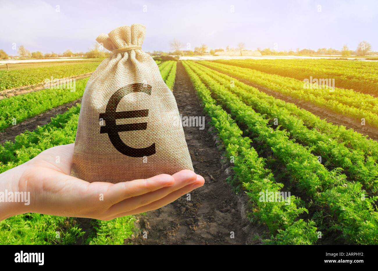 Borsa di denaro sullo sfondo delle colture agricole in mano al contadino. Startup agricole. Profitto da agribusiness. Prestiti e sovvenzioni Foto Stock