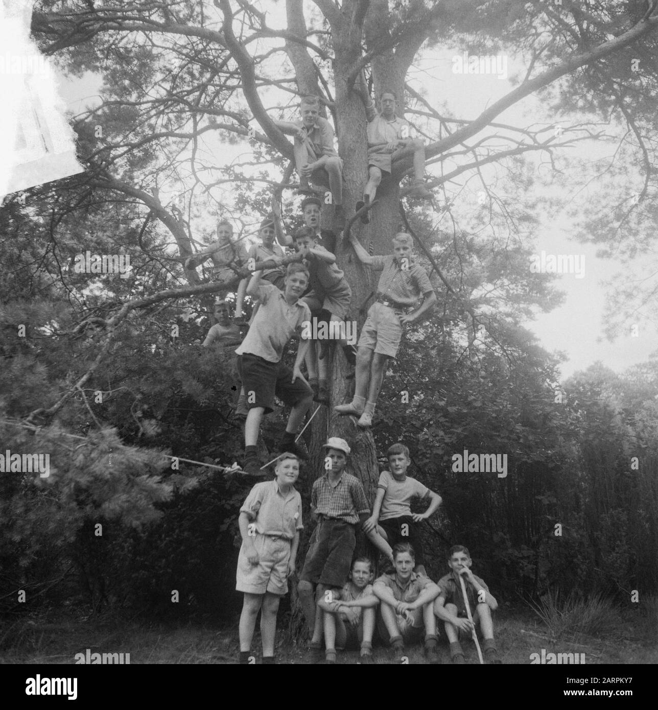 VCJC-kamp Sleen Kamp Sleen (Drenthe) VCJC/dark Data: 24 luglio 1950 luogo: Drenthe, Sleen Parole Chiave: Kamp Foto Stock VCJC-kamp Sleen Kamp Sleen (Drenthe) VCJC/dark Data: 24 luglio 1950 luogo: Drenthe, Sleen Parole Chiave: Kamp Foto Stock