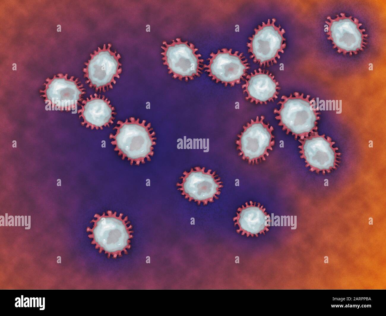 2019-nCoV Coronavirus chiudi la famiglia di virus Coronaviridae Nidovirales, illustrazione di sfondo patogeno Foto Stock