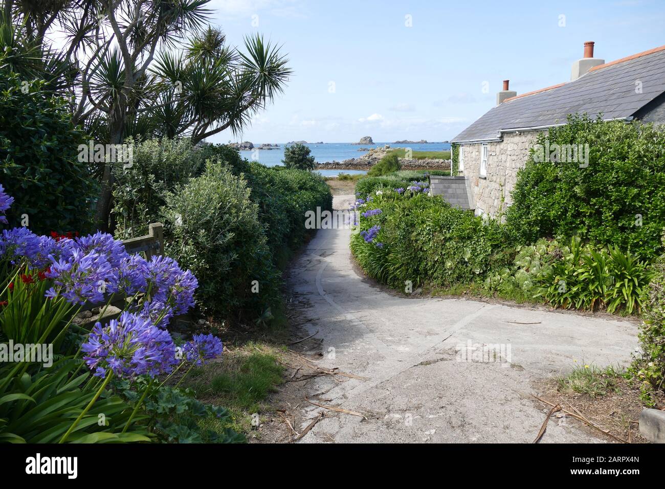 Sentiero per il mare Foto Stock