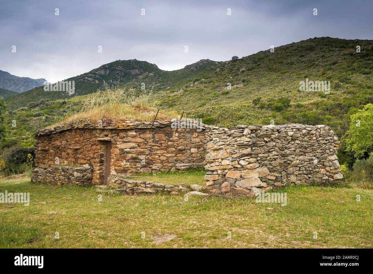 Capanna in pietra, fattoria abbandonata in collina nella regione di Nebbio, nei pressi di Saint-Florent, dipartimento Haute-Corse, Corsica, Francia Foto Stock