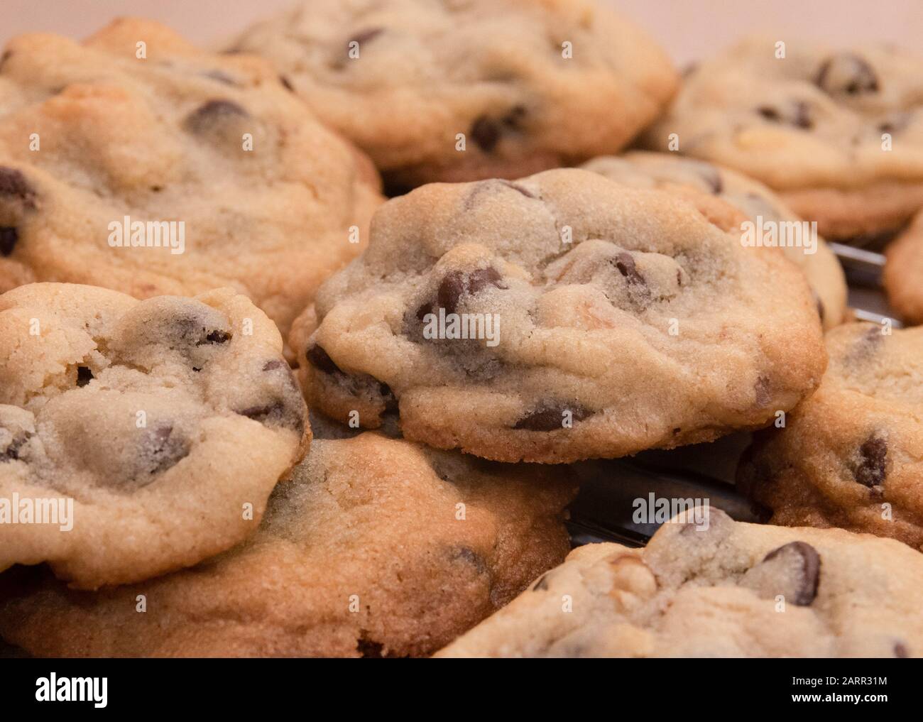 Una fotografia ravvicinata di un biscotto al cioccolato appena sfornato. Foto Stock