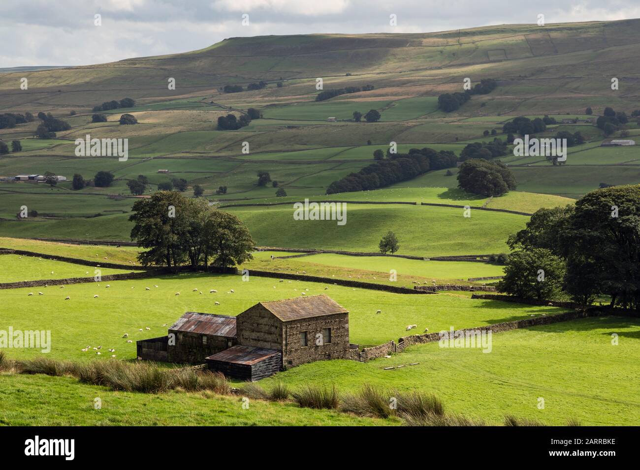 Un fienile in pietra e campi con pecore da pascolo - una tipica vista Yorkshire Dales a Wensleydale vicino al villaggio di Sedbusk Foto Stock