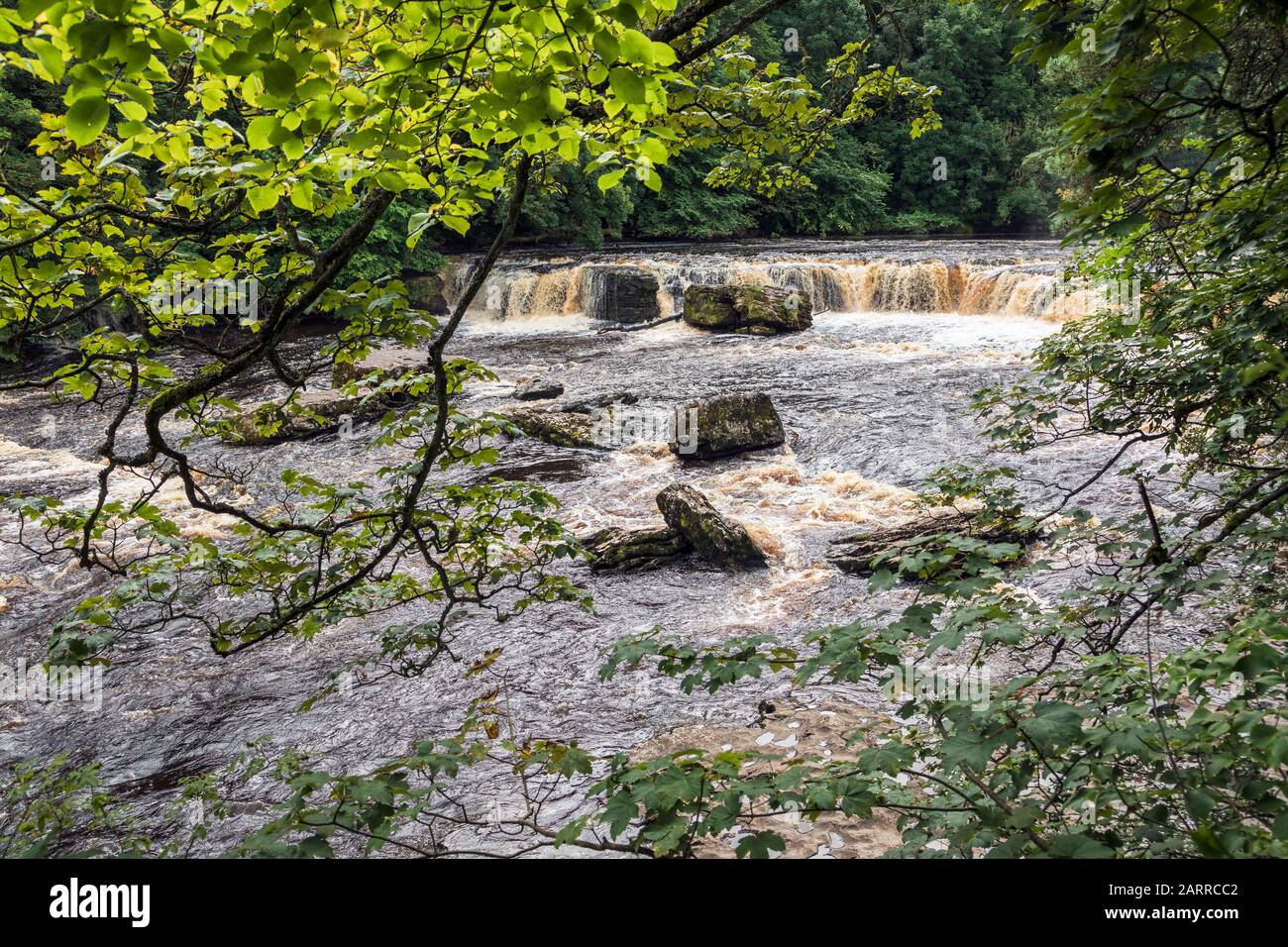 Aysgarth Falls, Wensleydale, Yorkshire Dales National Park, Inghilterra Foto Stock