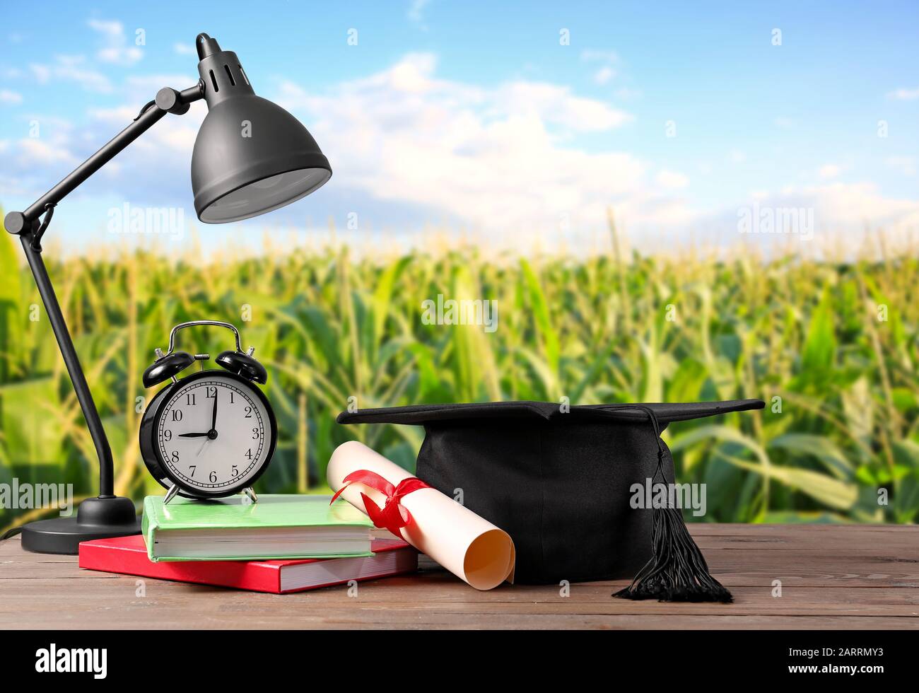 Mortaio bordo, diploma, lampada, orologio e libri a tavola vicino campo di mais Foto Stock