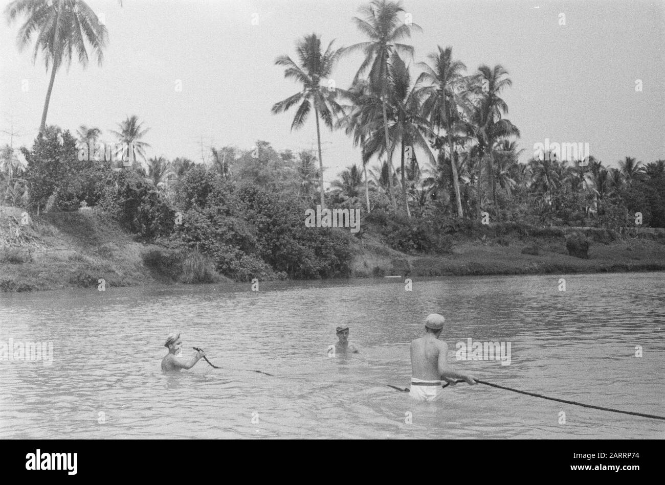 Posa Di Un ponte di bambù Per la fanteria. Molti ponti sono stati distrutti anche su Java. La soluzione è quella di costruire un ponte galleggiante leggero costituito da tronchi di bambù legati insieme. Qui si vede il Veluwebataljon costruire un tale ponte sul Tjisedane Data: 1946 luogo: Indonesia, Indie orientali olandesi Foto Stock