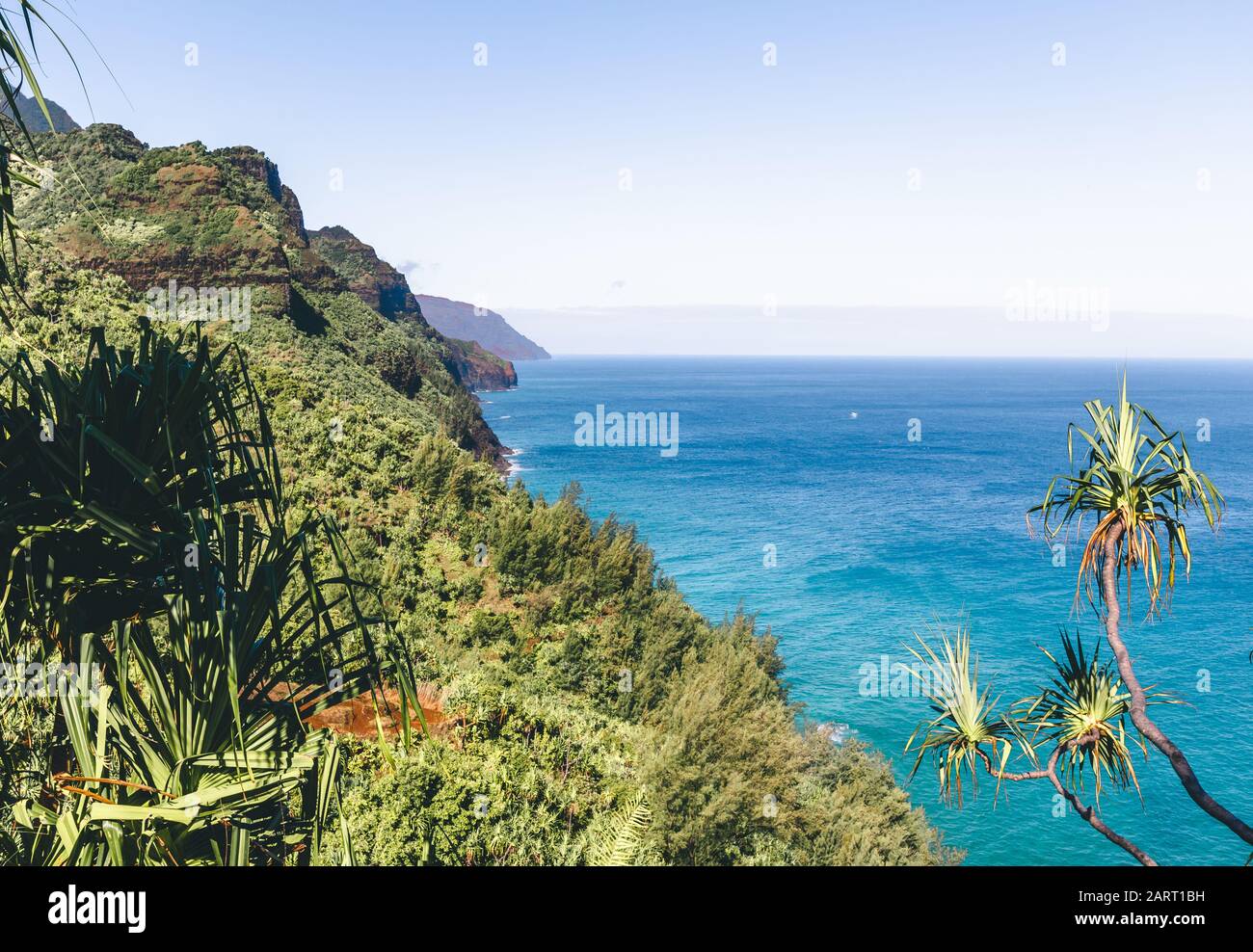 Sentiero Escursionistico Di Kauai Hawaii Foto Stock