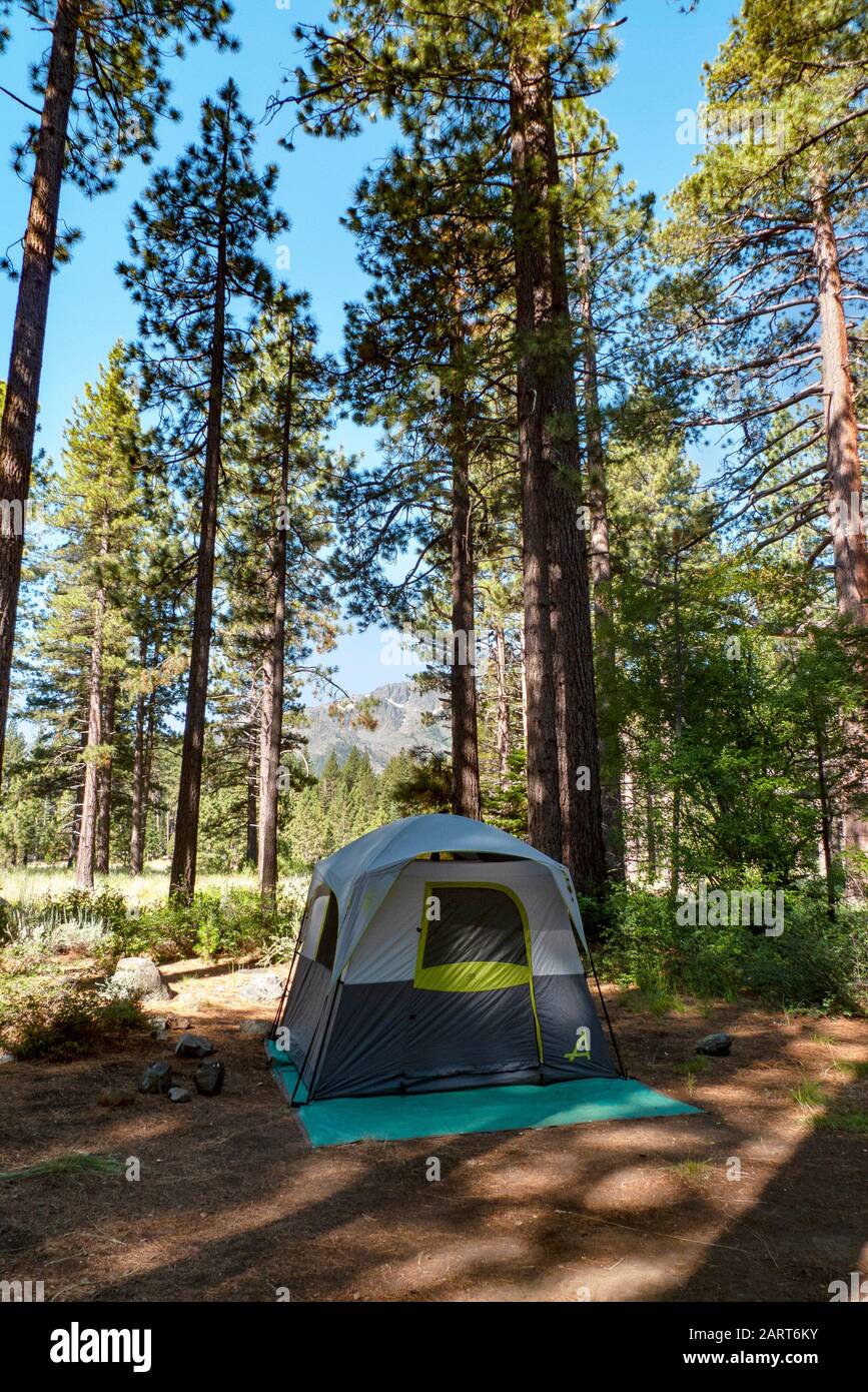 Una tenda si trova all'ombra di alti pini nel Fallen Leaf Lake Campground vicino al lago Tahoe, California. Foto Stock