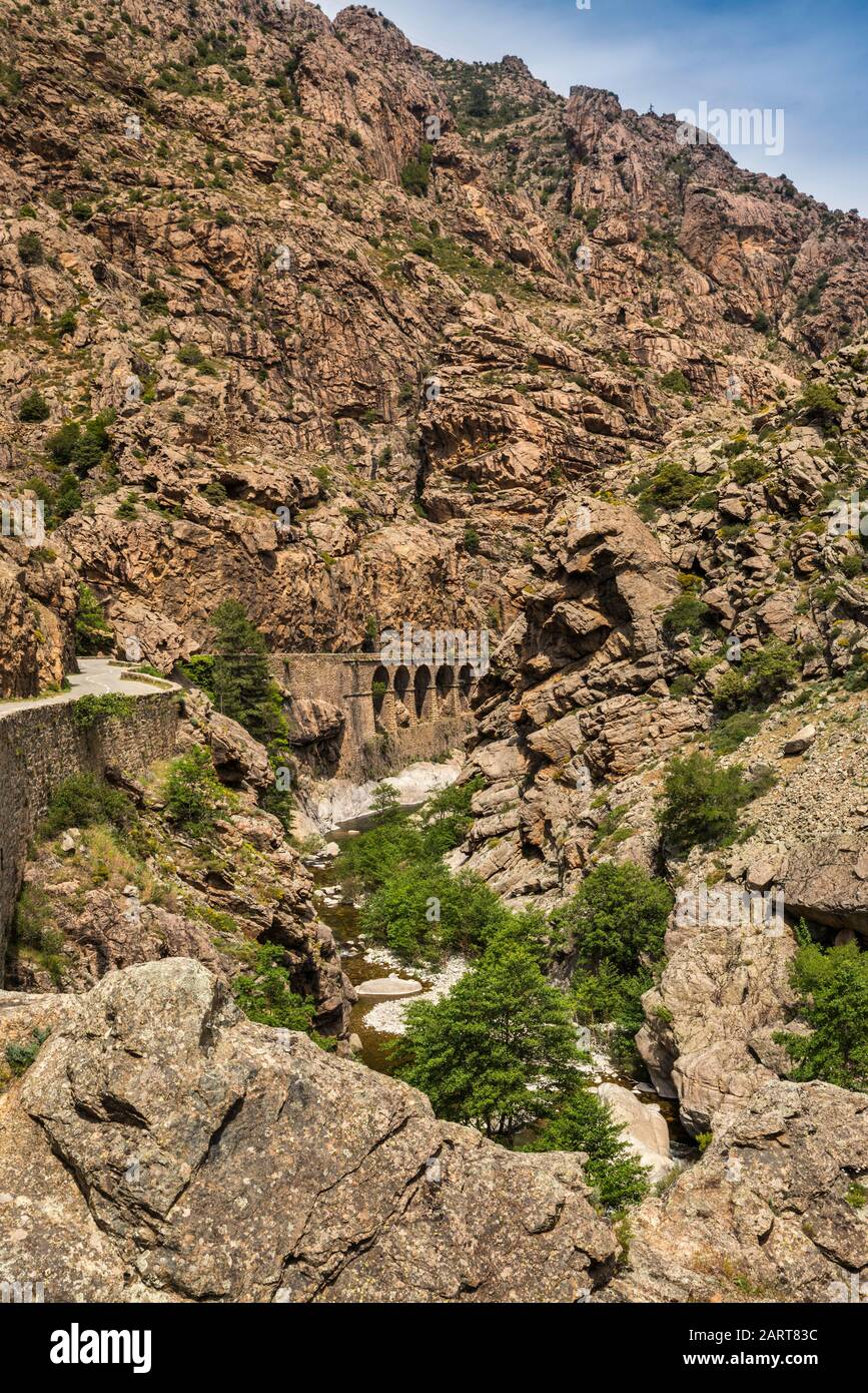 Canyon della Scala di Santa Regina, Valle del fiume Golo, ponte sulla strada D-84, Haute-Corse, Corsica, Francia Foto Stock