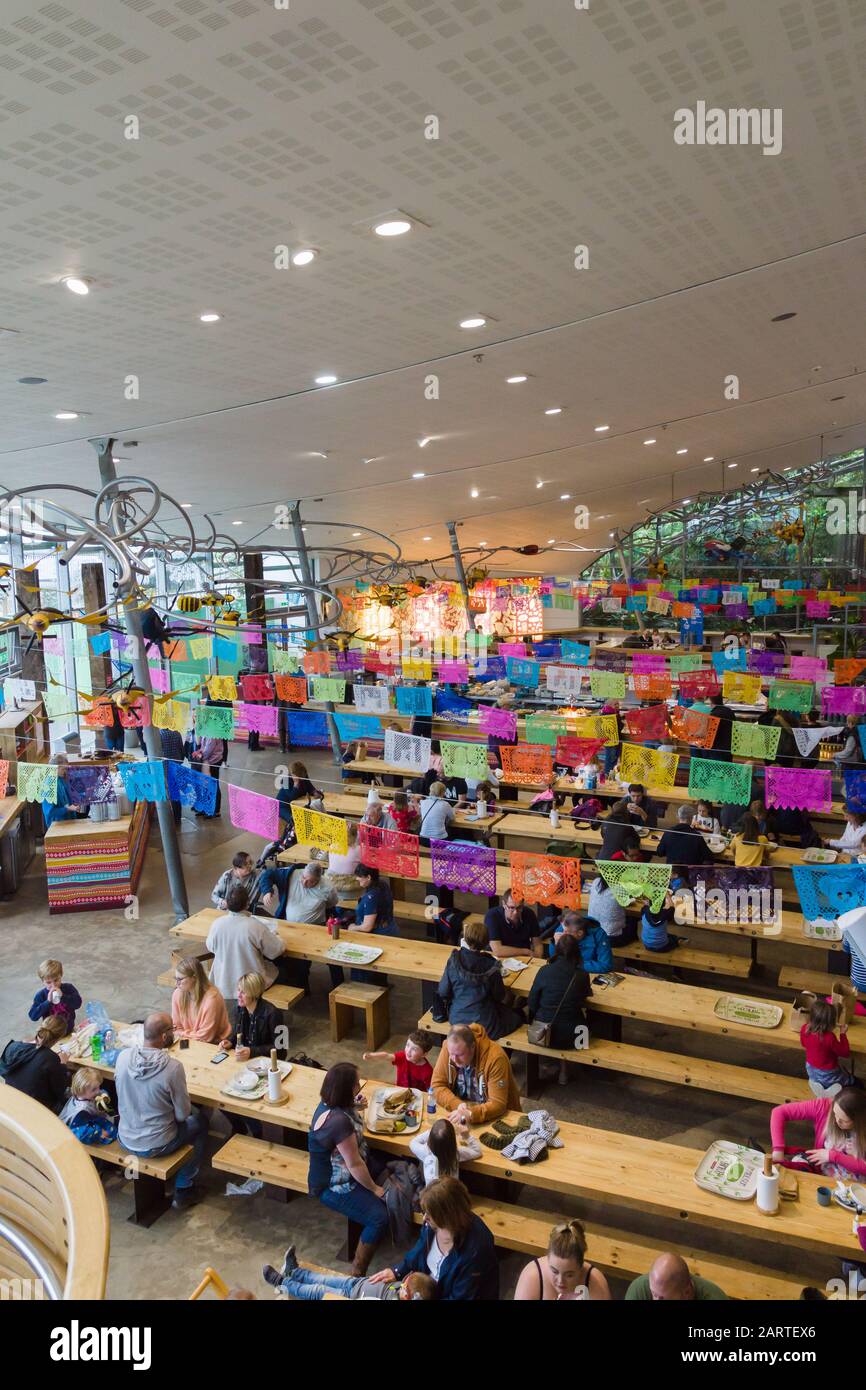 Progetto Eden zona pranzo e una caffetteria con famiglie e visitatori consumare i pasti Foto Stock