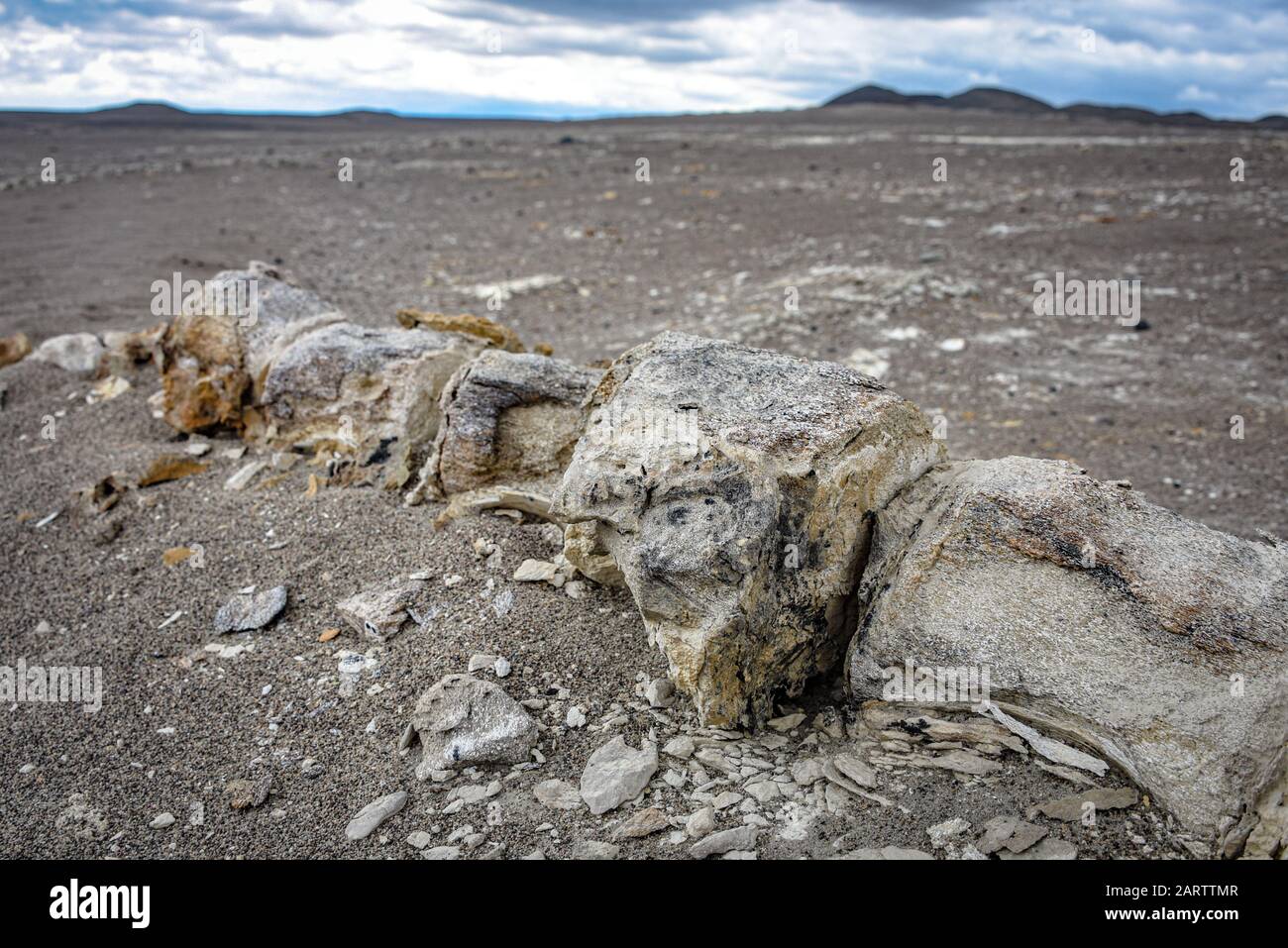 Ossa Dinosaur scoperte fossilizzate sotto le sabbie nel deserto di Nazca. Ica, Perù Foto Stock