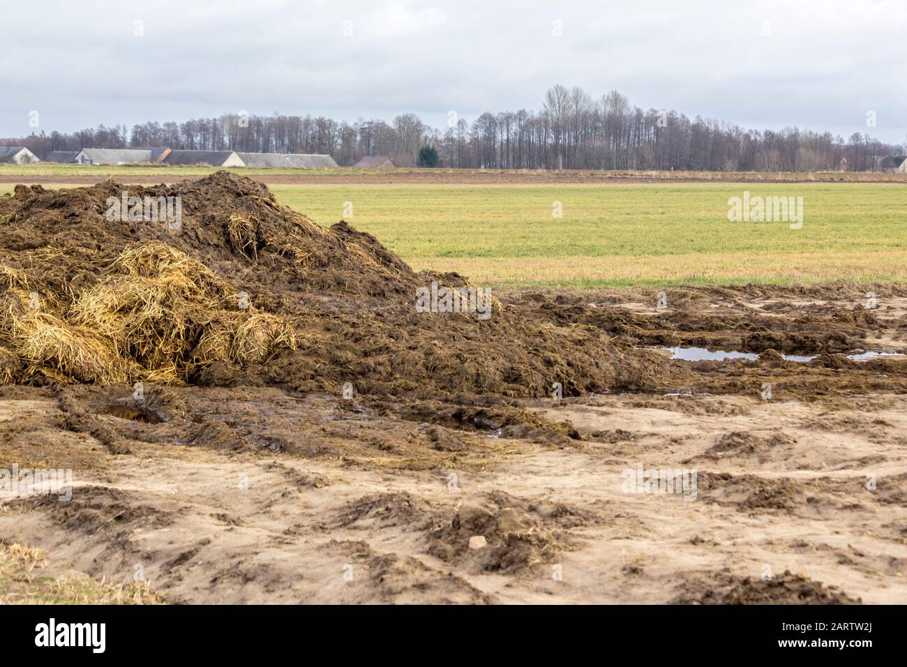Inizio primavera. Concime mescolato con paglia è preparato per fertilizzare il campo. Il villaggio sullo sfondo. Caseificio. Podlasie, Polonia. Foto Stock