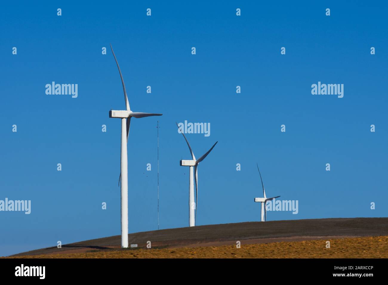 Turbine Eoliche Su Hilltop Sustainable Energy Foto Stock