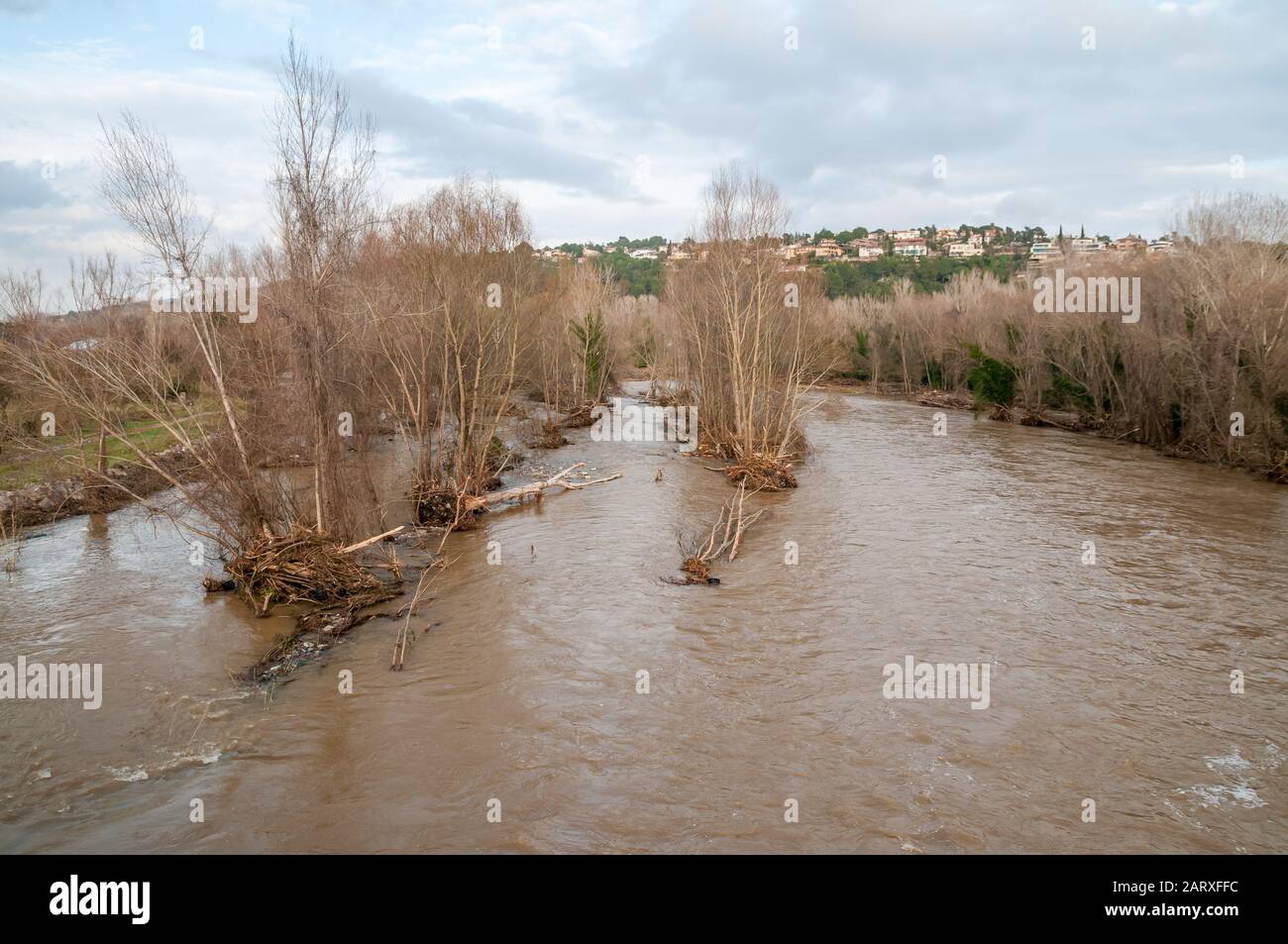 Alberi caduti nel letto del fiume, Ter fiume, Girona, Catalogna, Spagna Foto Stock
