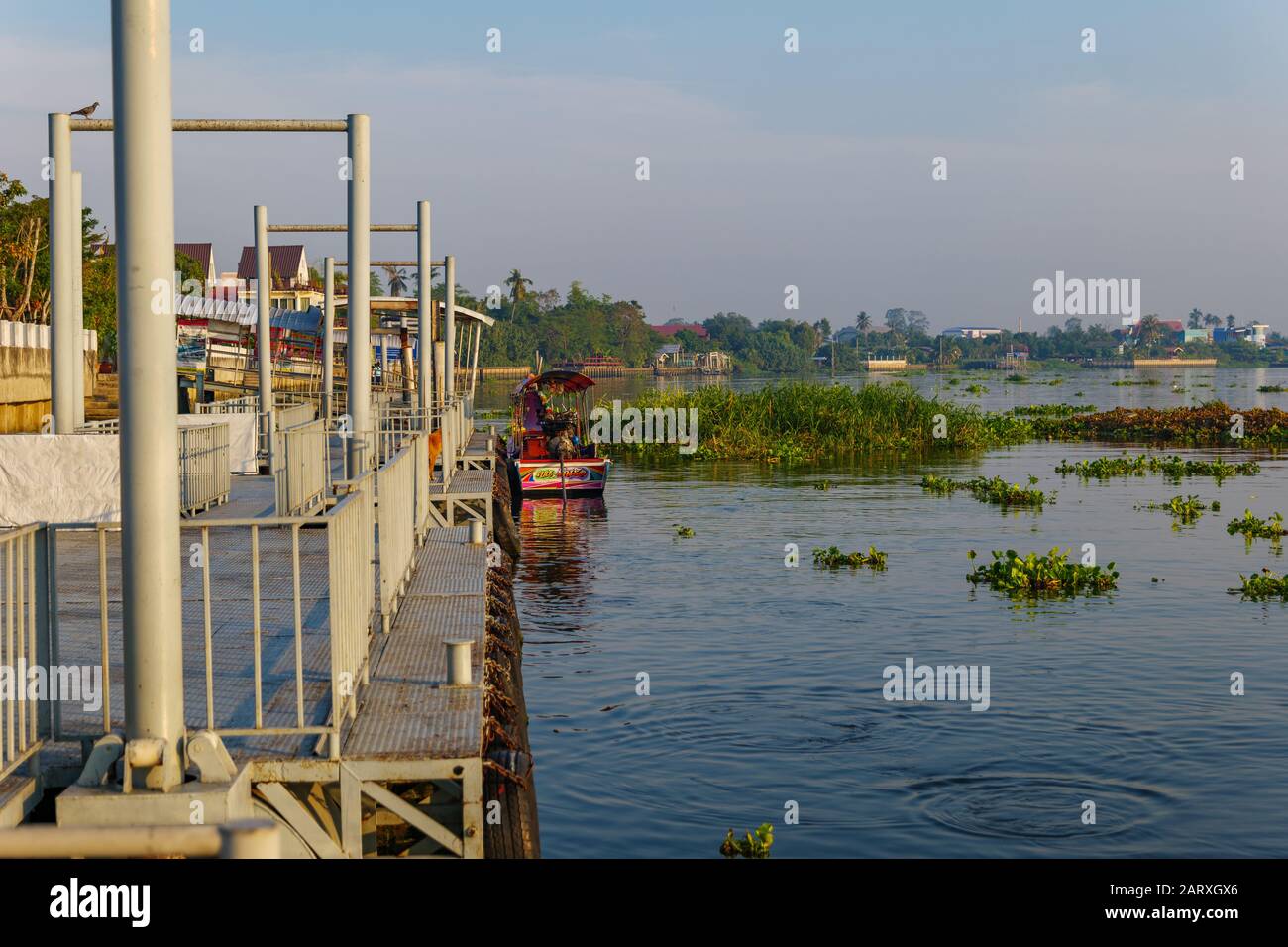 Vista tranquilla di Long tail barca ancora accanto galleggianti pontone in acciaio, molo o molo senza persone e galleggiante acqua hyacinth sul fiume Chao Phraya. Foto Stock