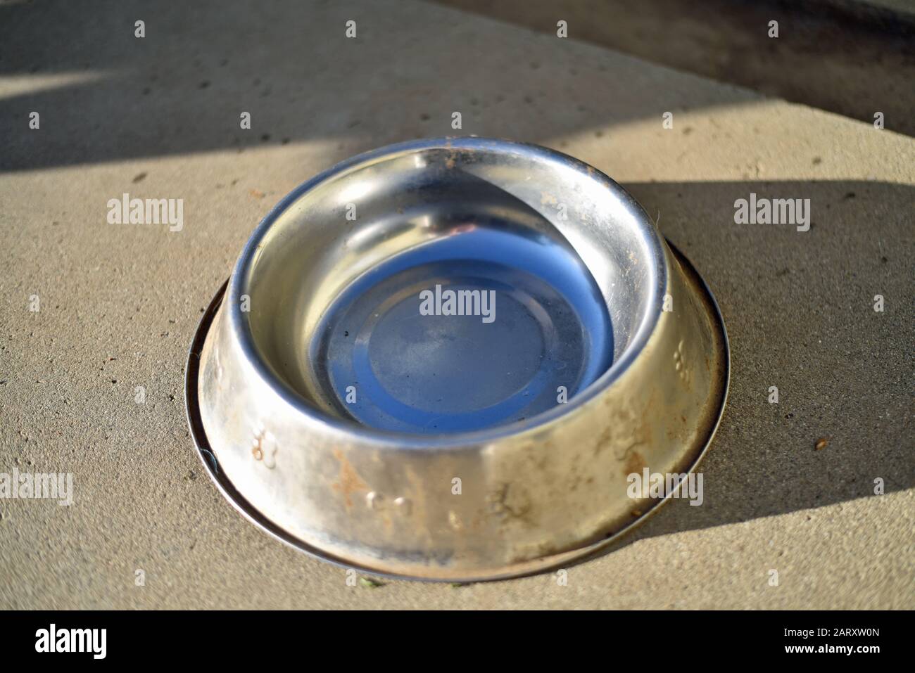 Piatto Del Cane Foto Stock
